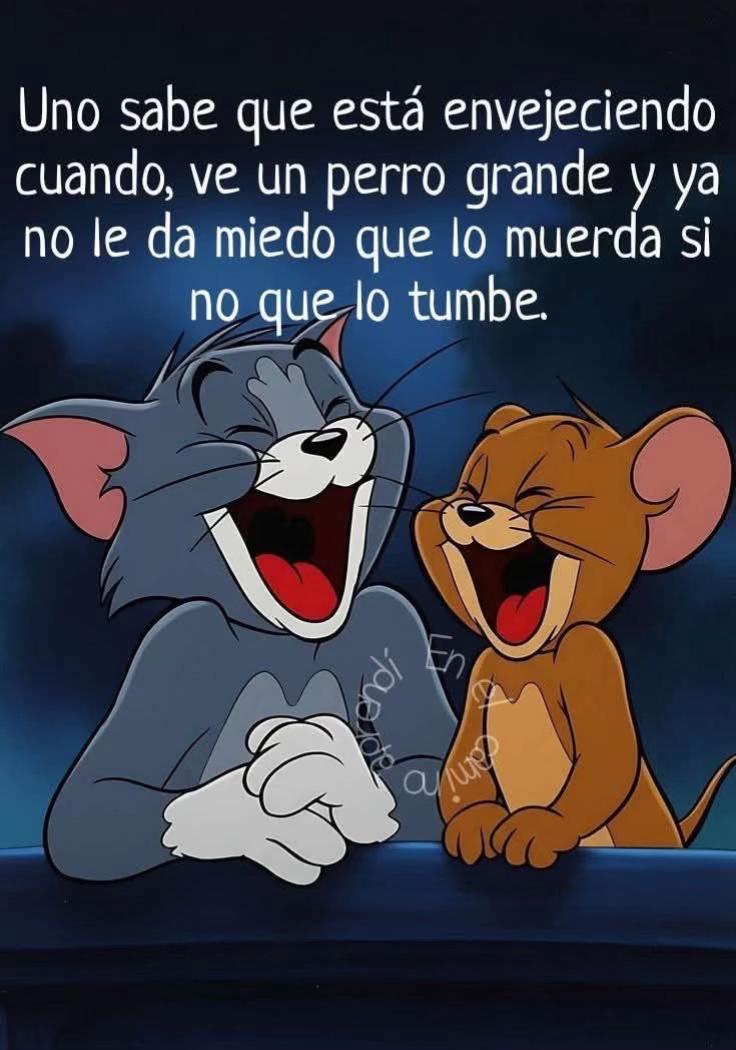@Angeles Quintero campos