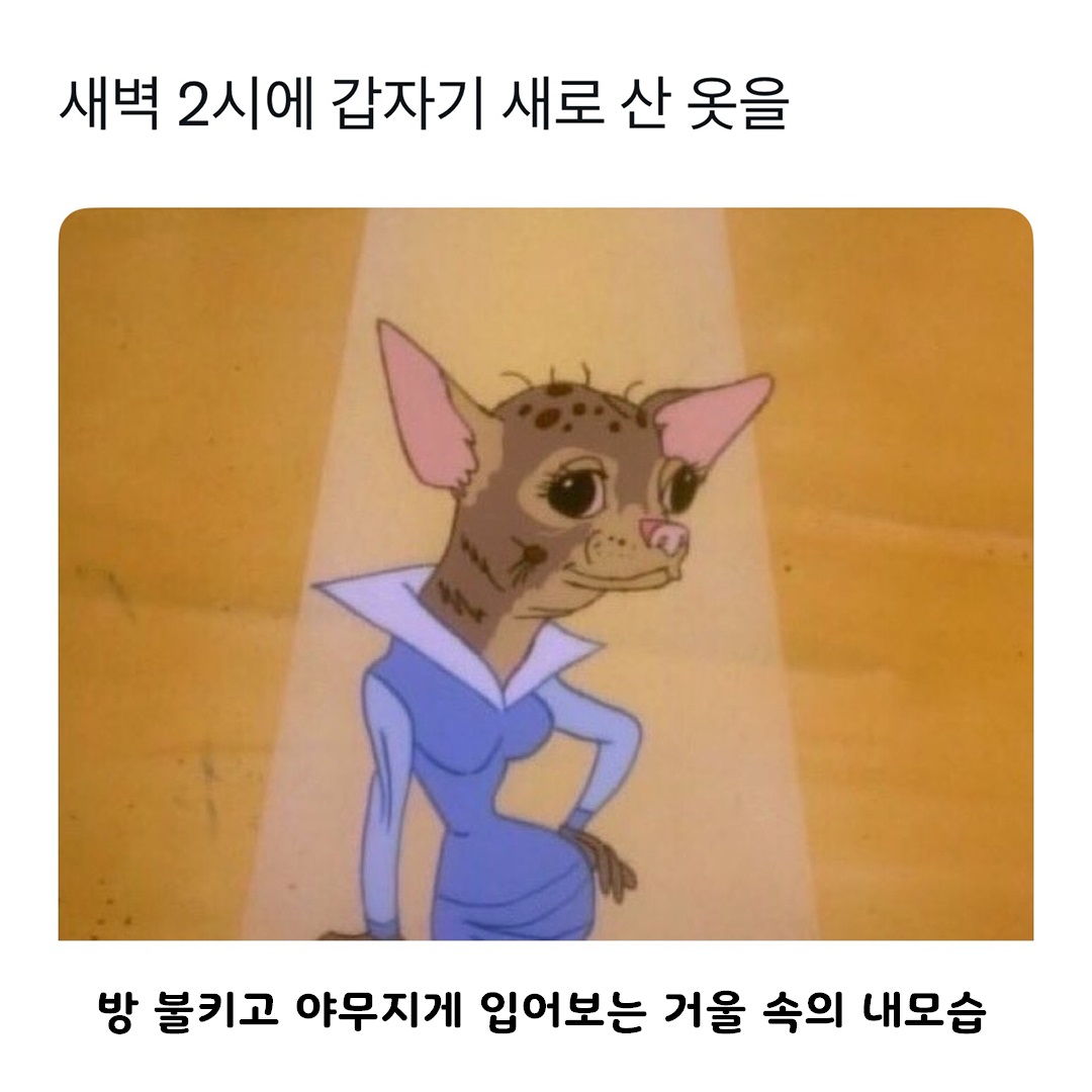 @로이젤