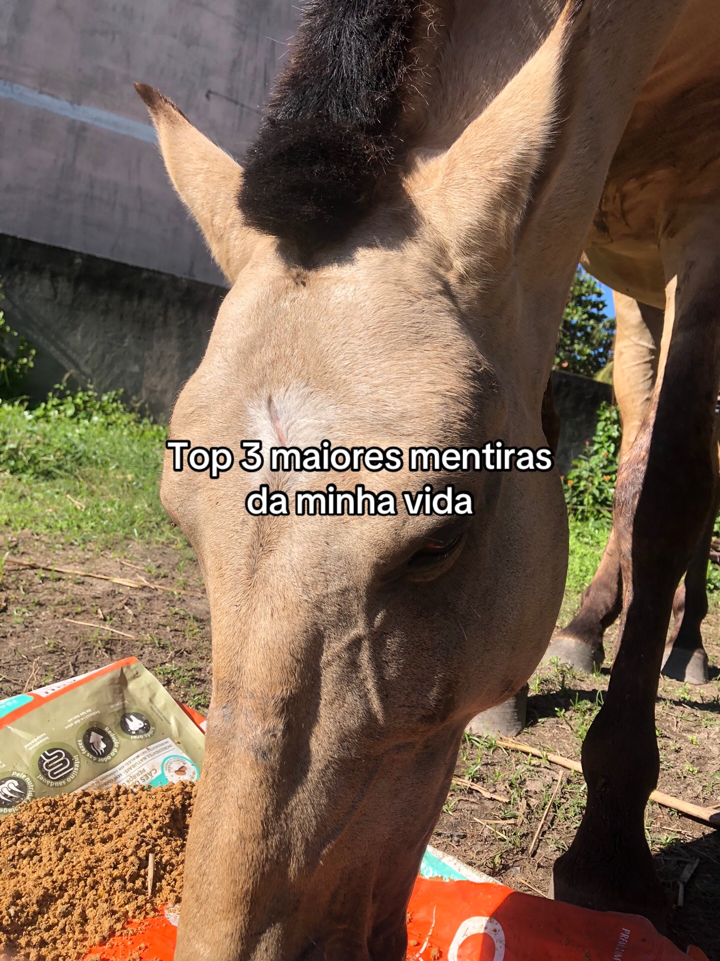 @Pᥱ́r᥆ᥣᥲ ᥱ ᥴᥲ&rho;&iota;tᥲ̃᥆