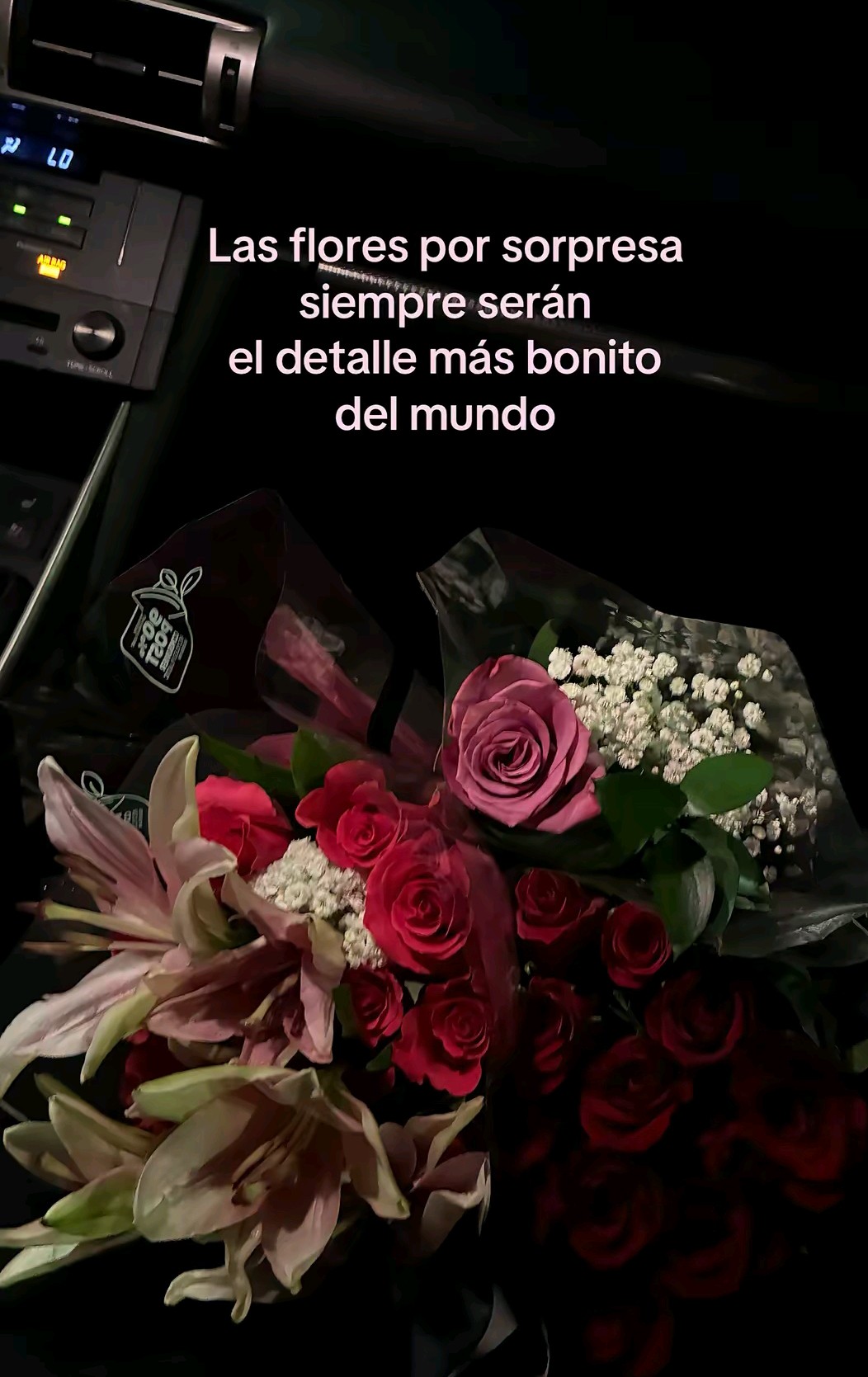 @Andre🌻