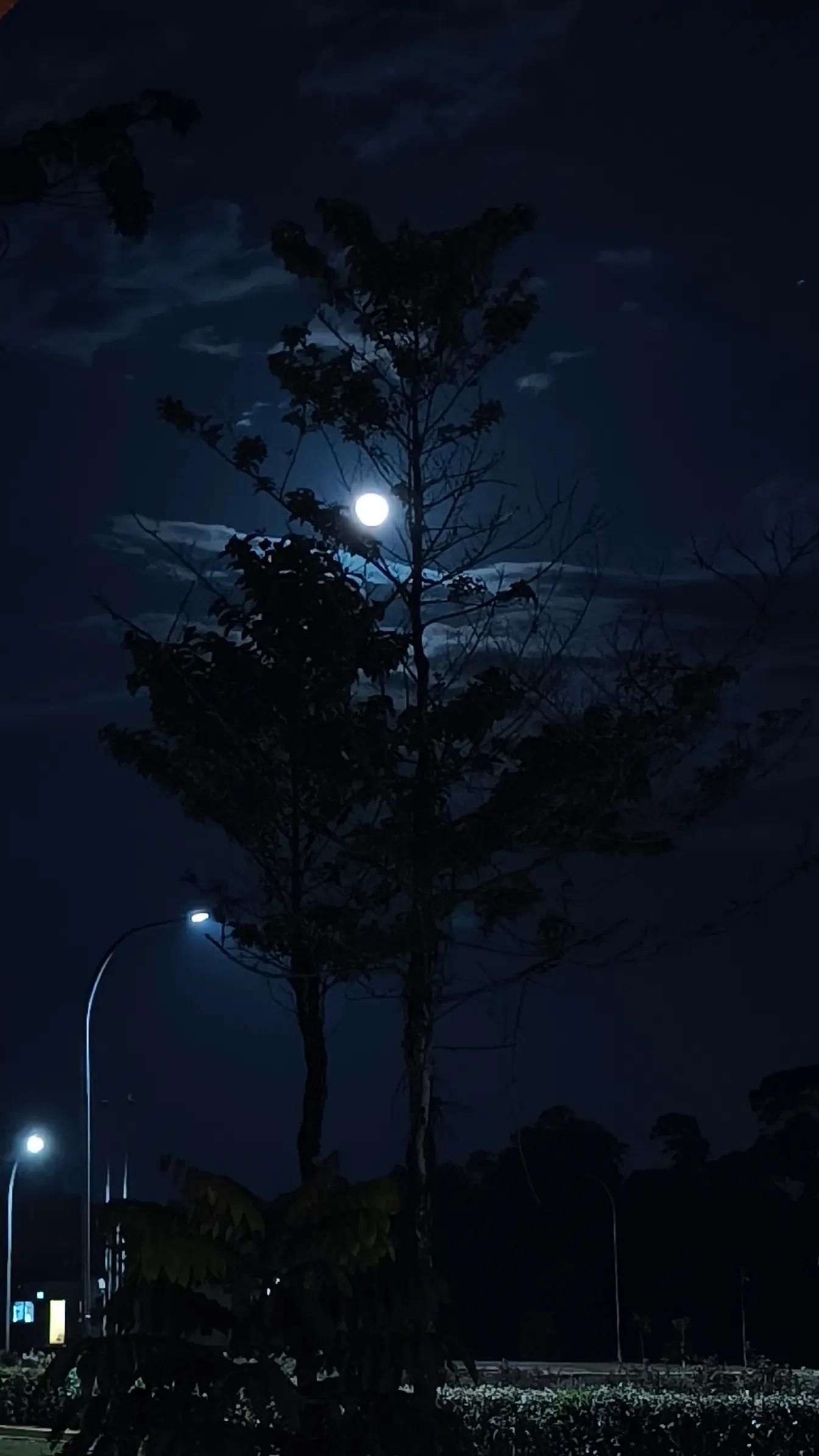 @boby kurniawan