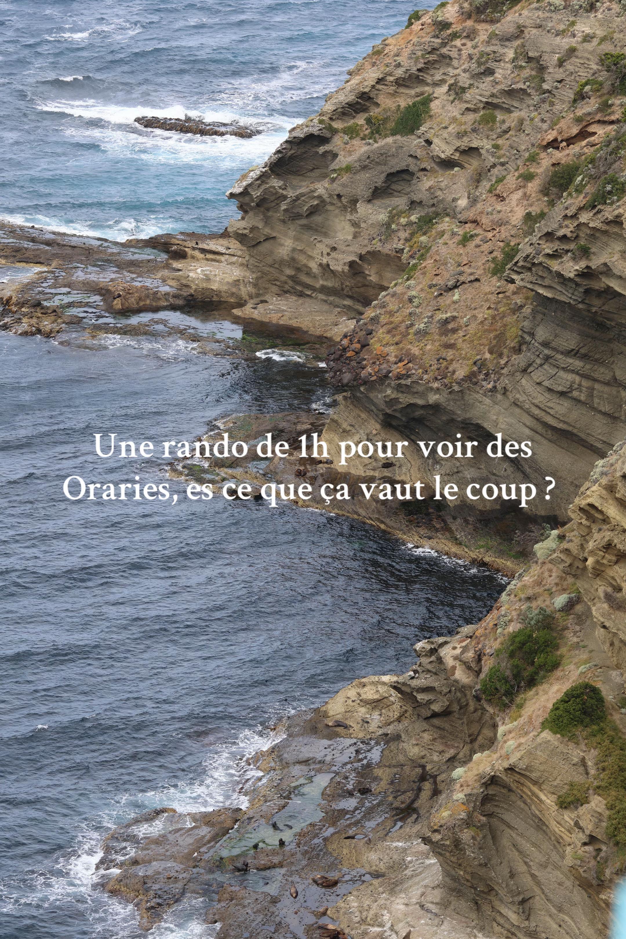 @EnVadrouilles