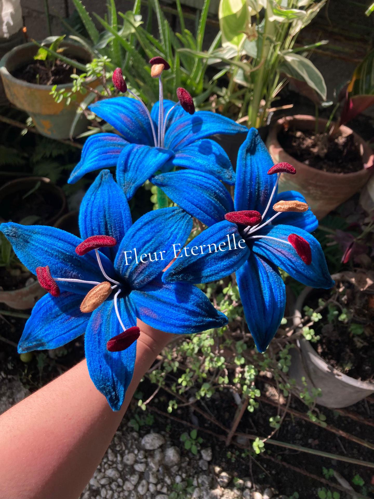 @Fleur Eternelle