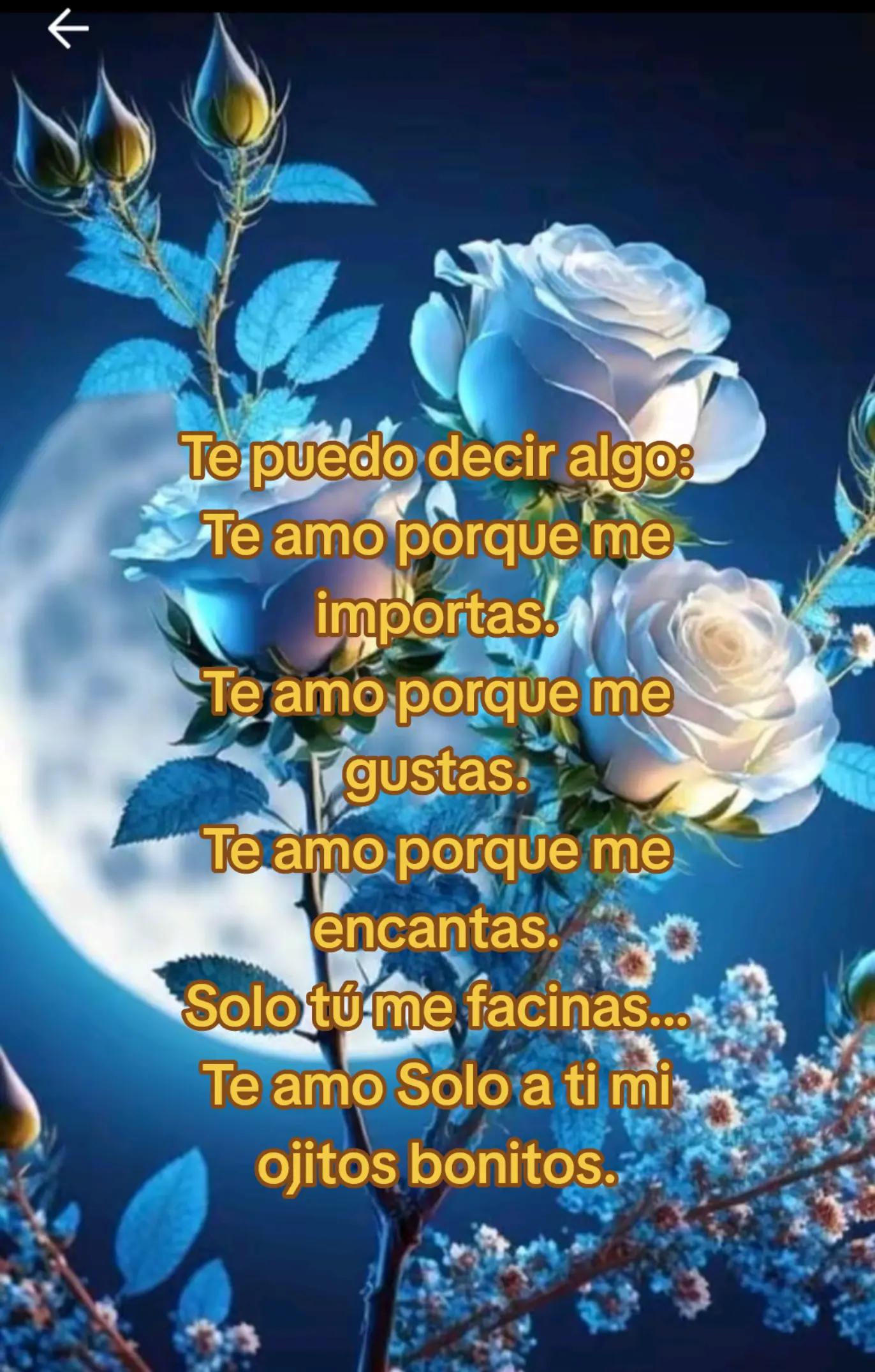 @Rafael V.J.(Lobito)