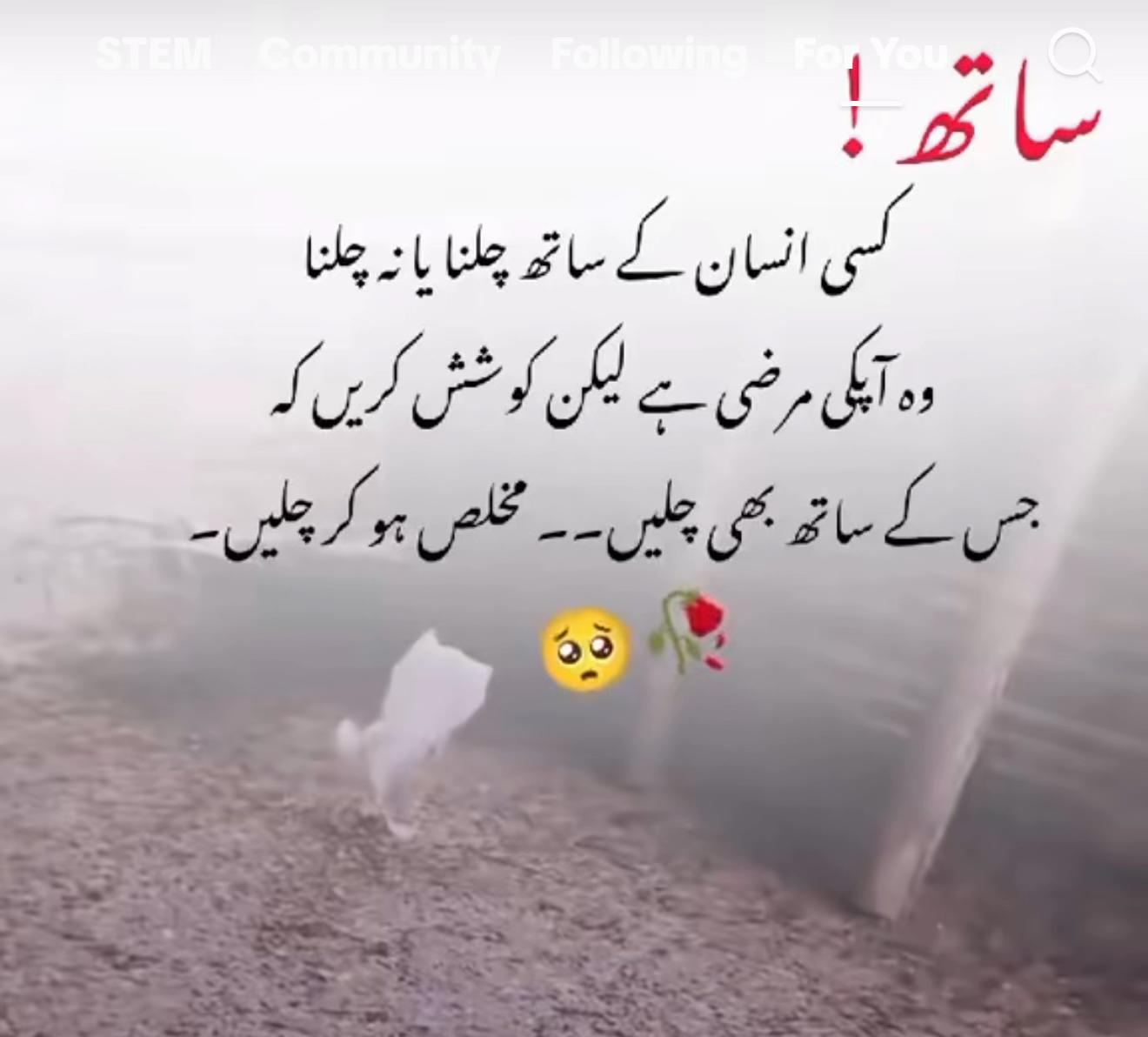 @فیصل کی زوجہ💋🥰❤️