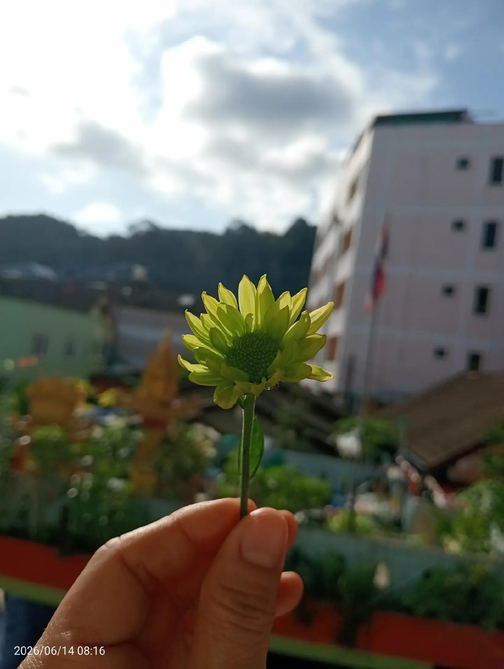 @มายเนมอีสศศิ🌸ศศิกัญญ์🌸