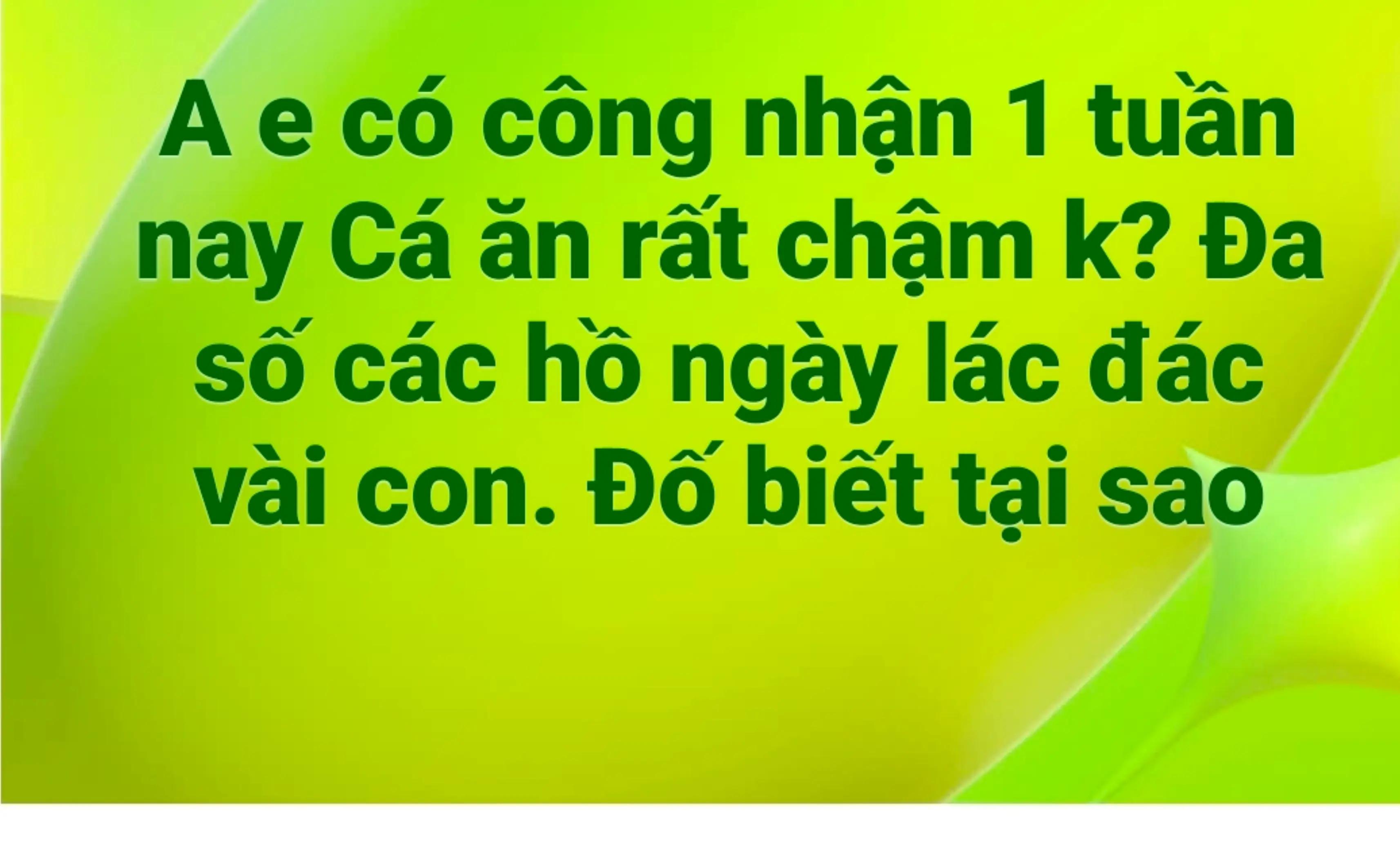 @Dũng Nguyễn Fishing