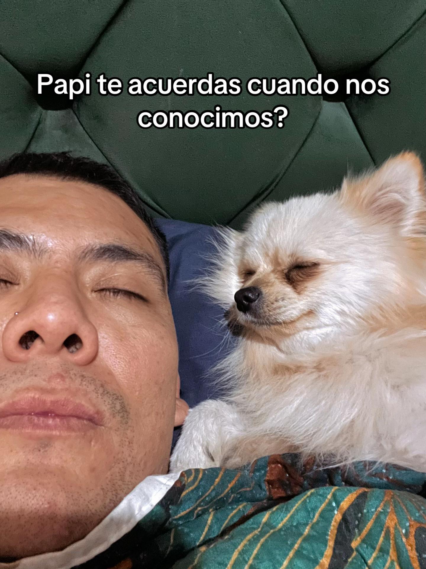 @HeyNaasho