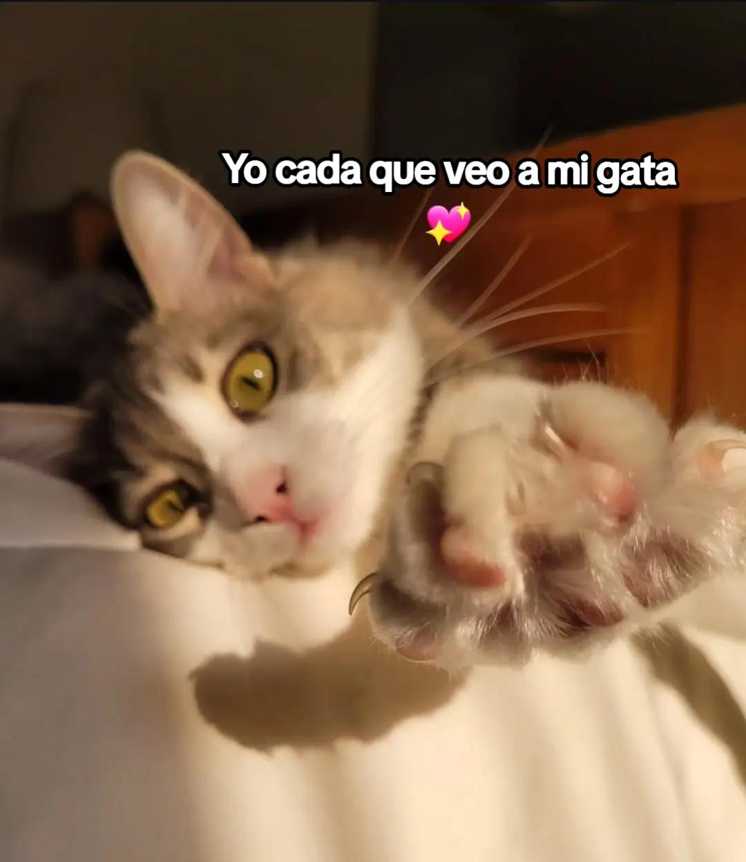 @Fernanda Dazz 💕