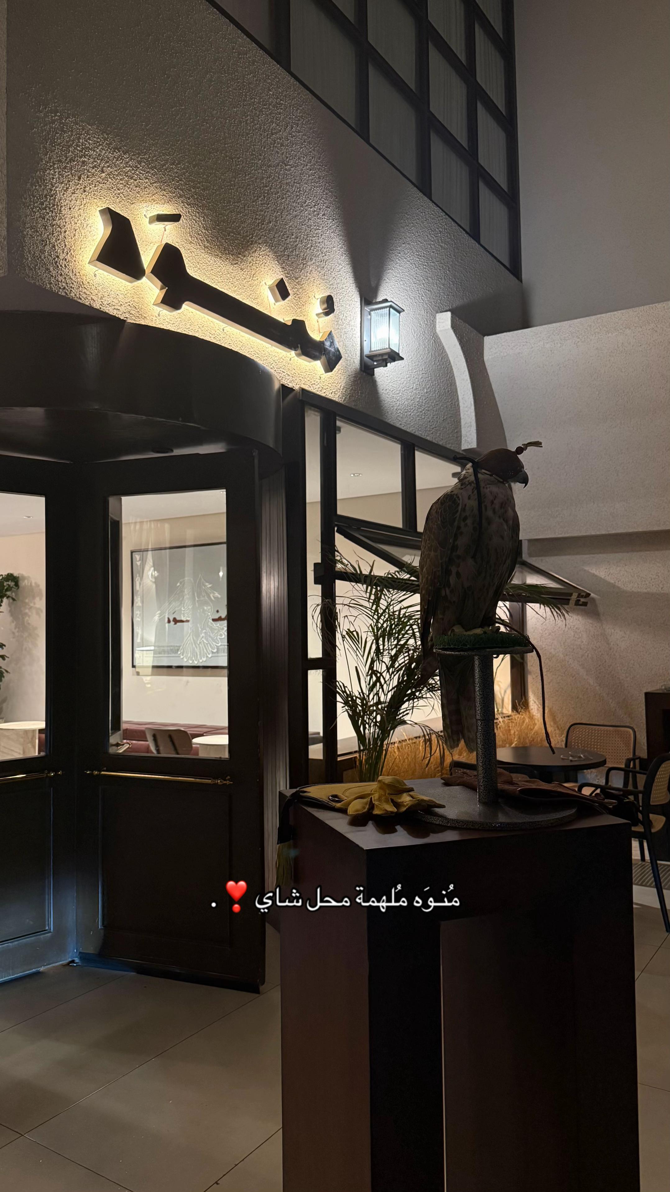 @فـ🌴