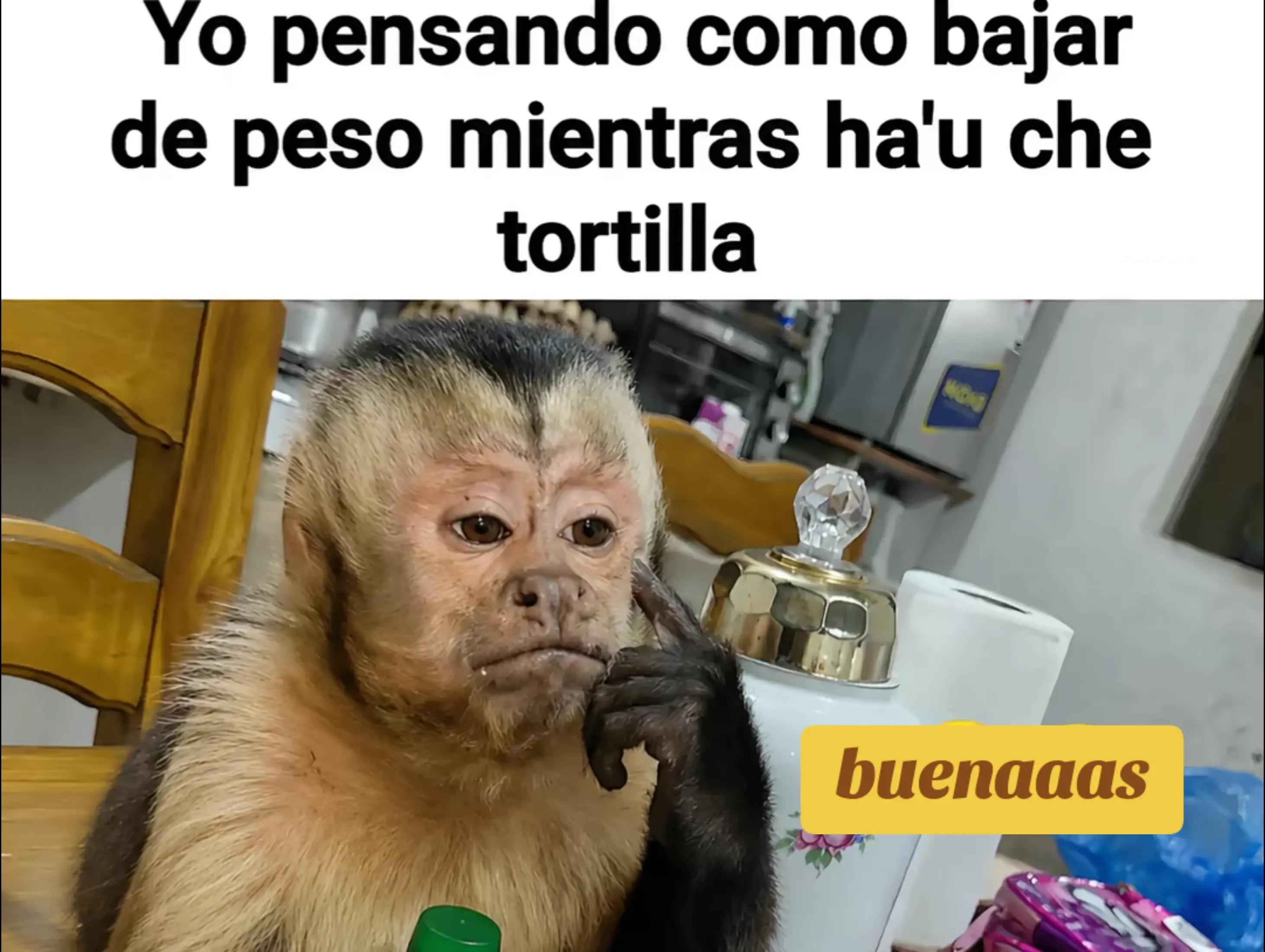 @alileiva ✨🌺🫀🧠🥂