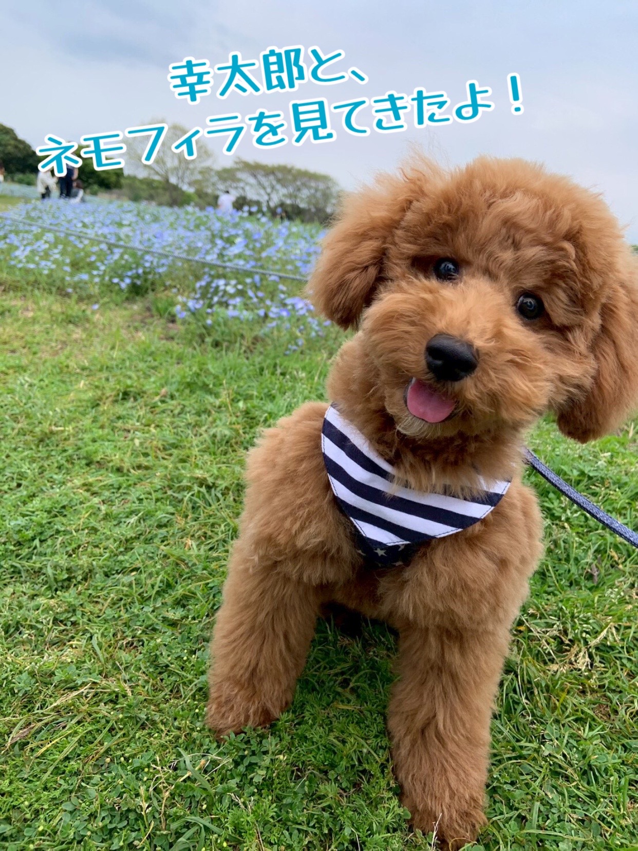 @miyuki._.2426