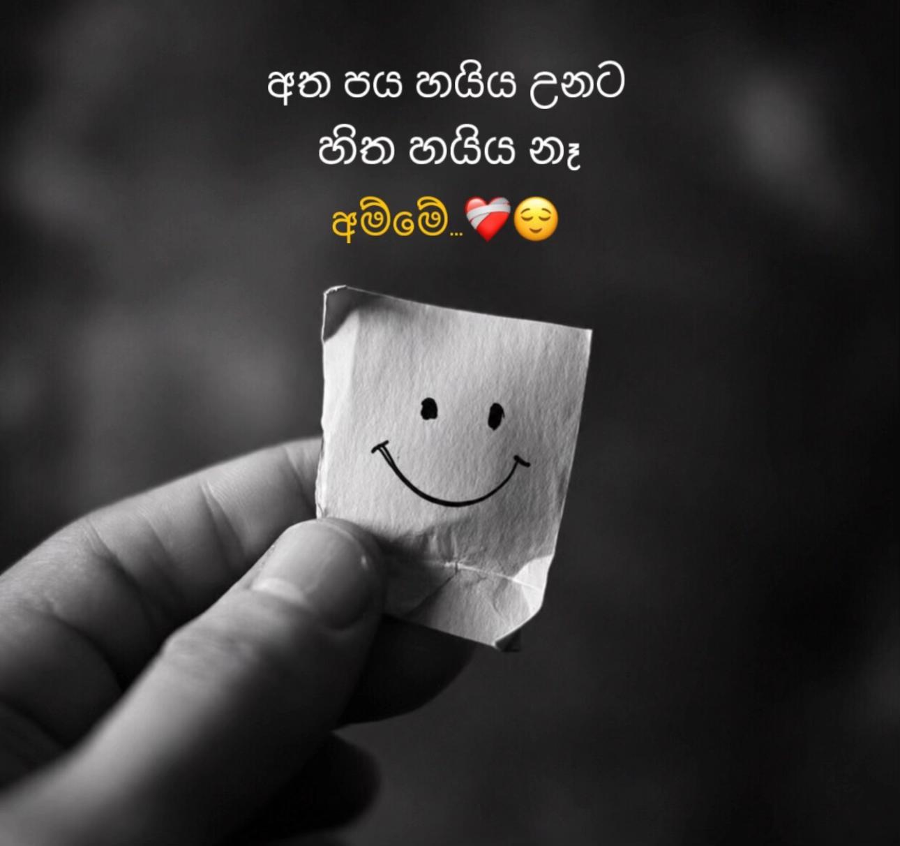 @HANSA 🇱🇰🇰🇷🪐