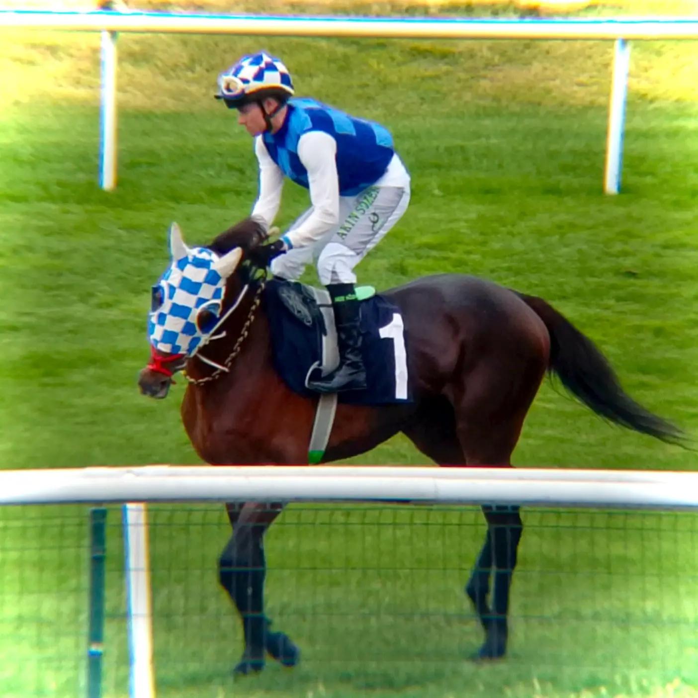 @brs horse racing