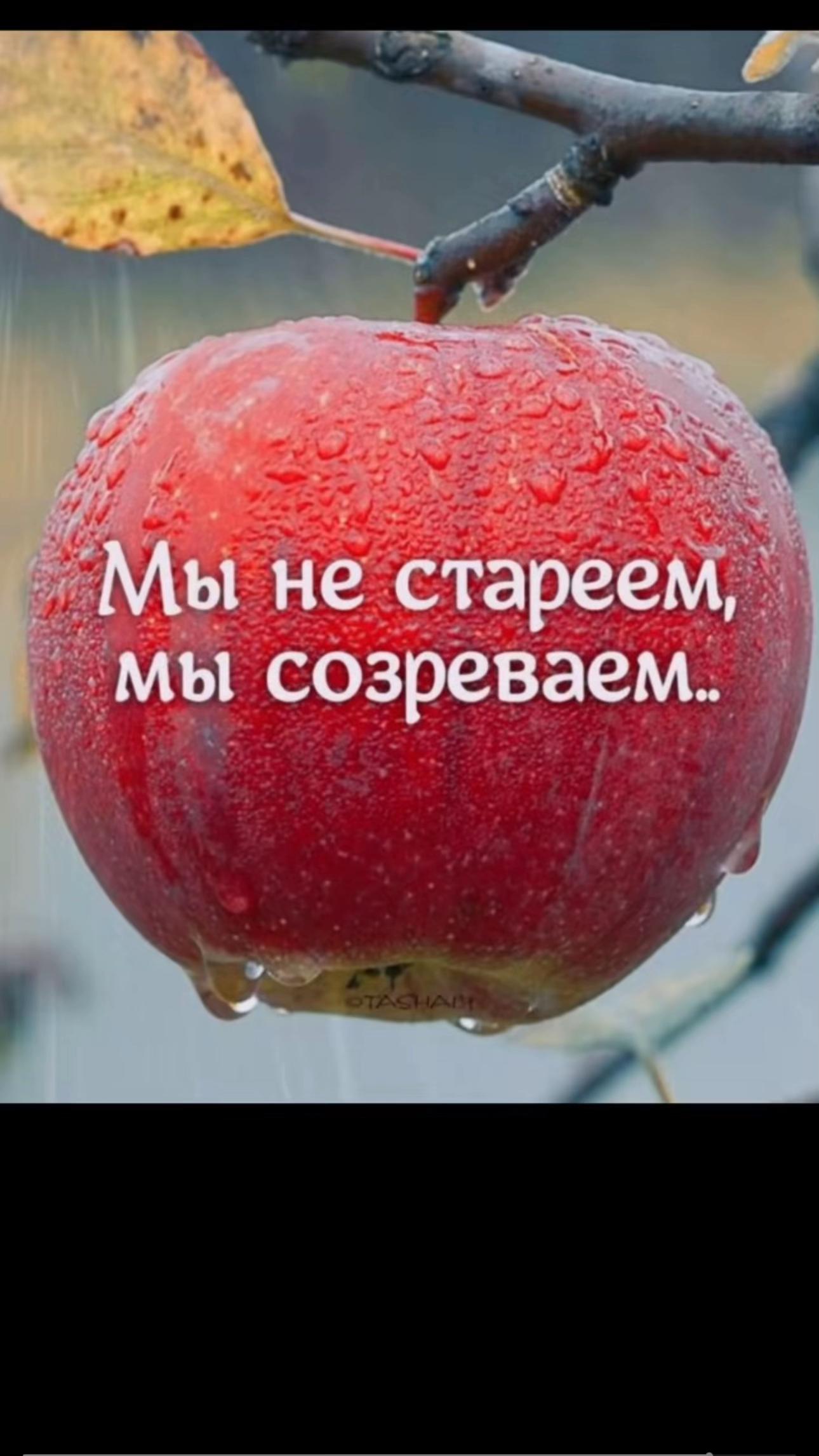 @Оксана