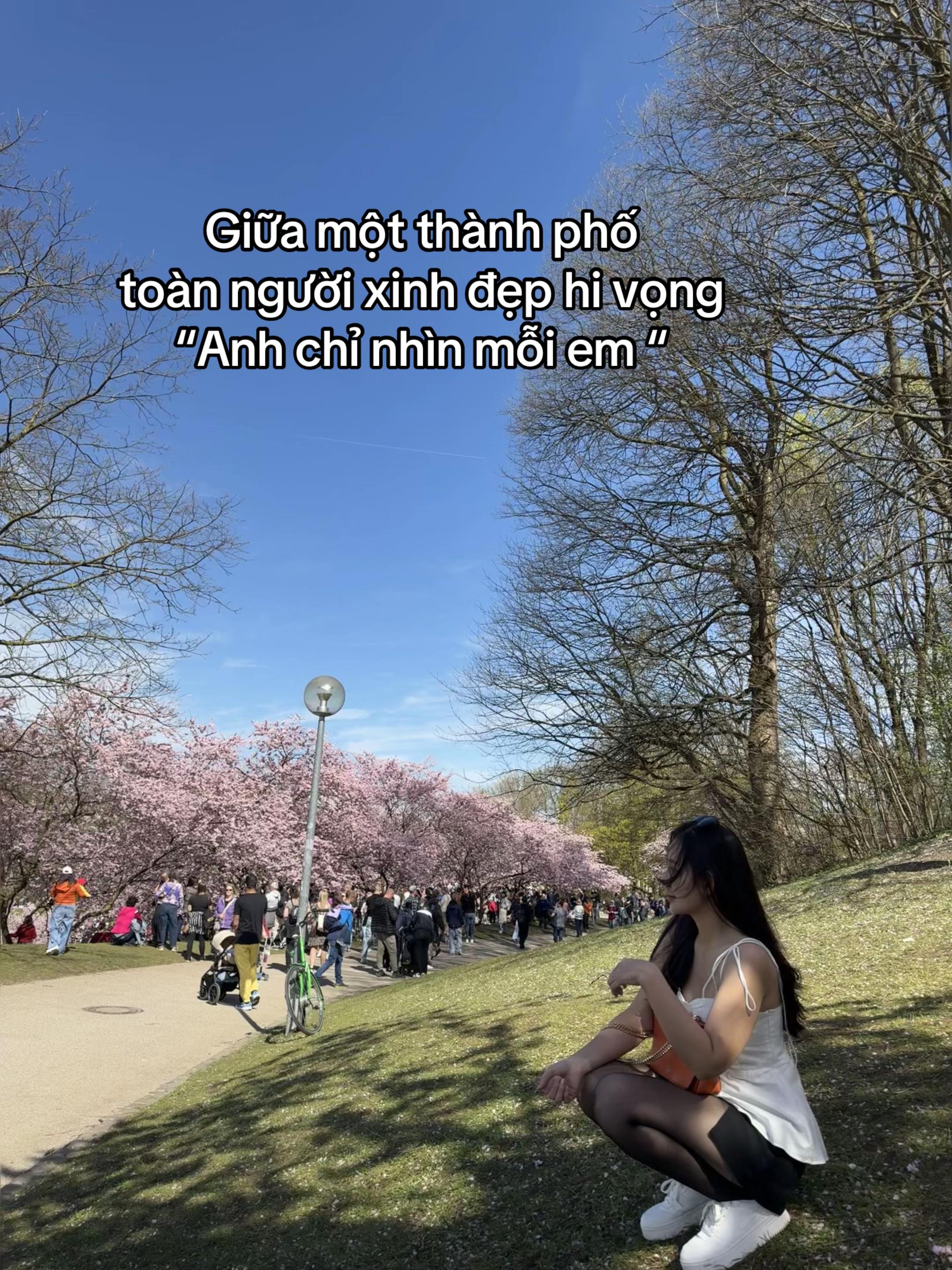 @Huỳnh Như