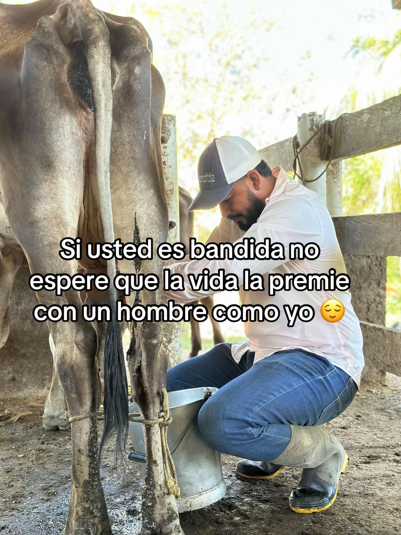 @Cristian Campos 🦏🧡