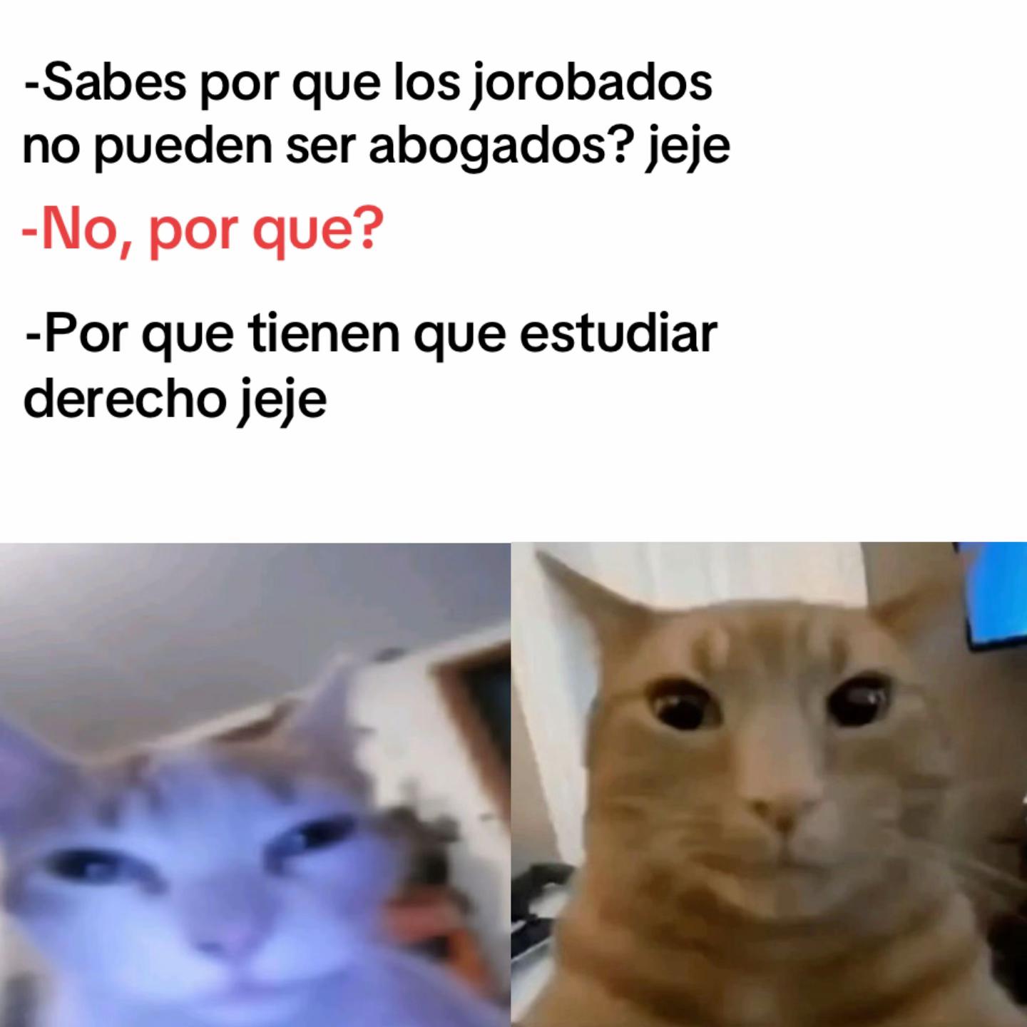 @momazosnegromarronjeje