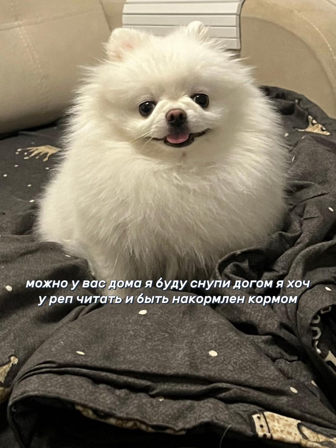 @Софийка🤍