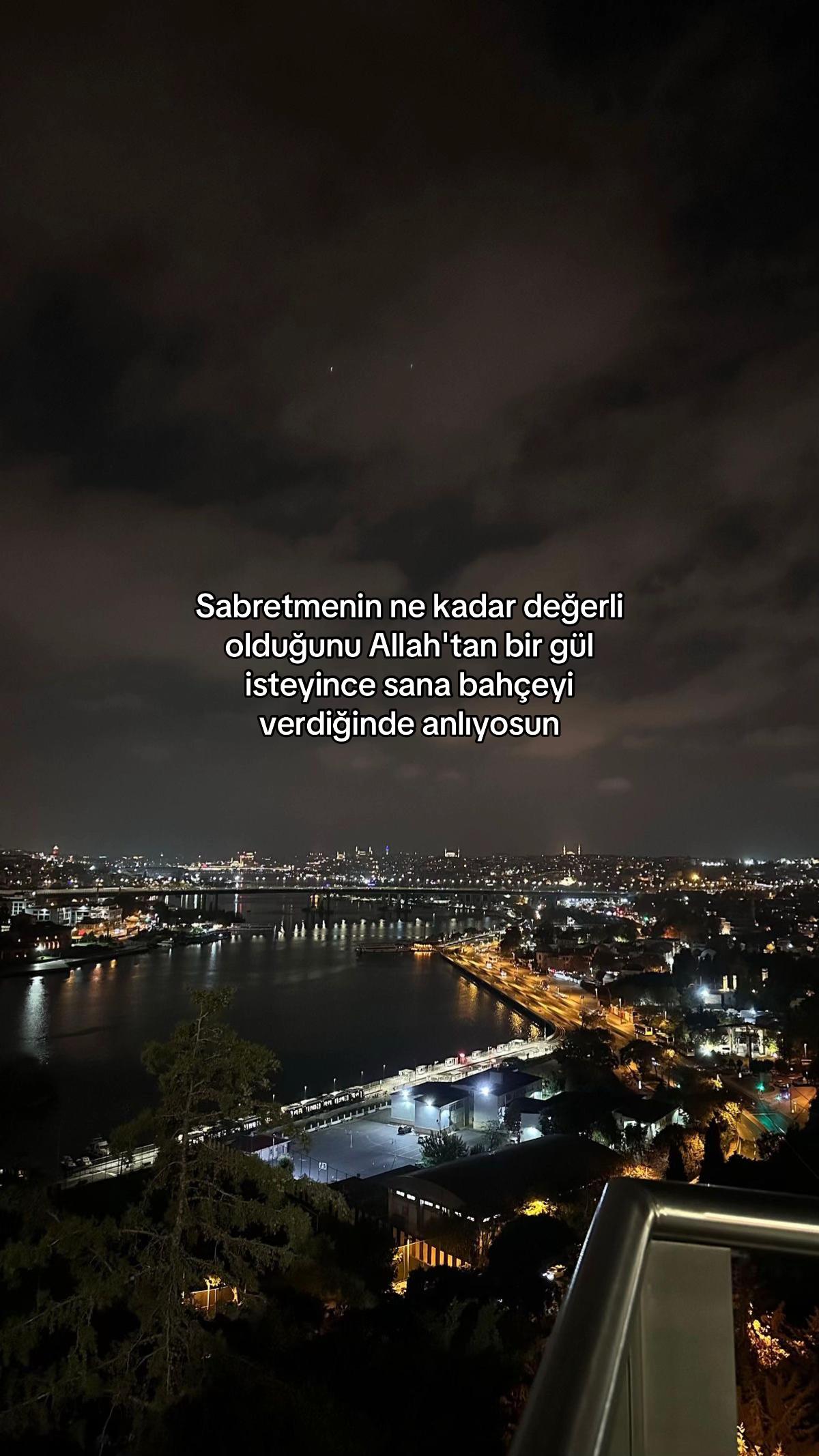 @bluelfida