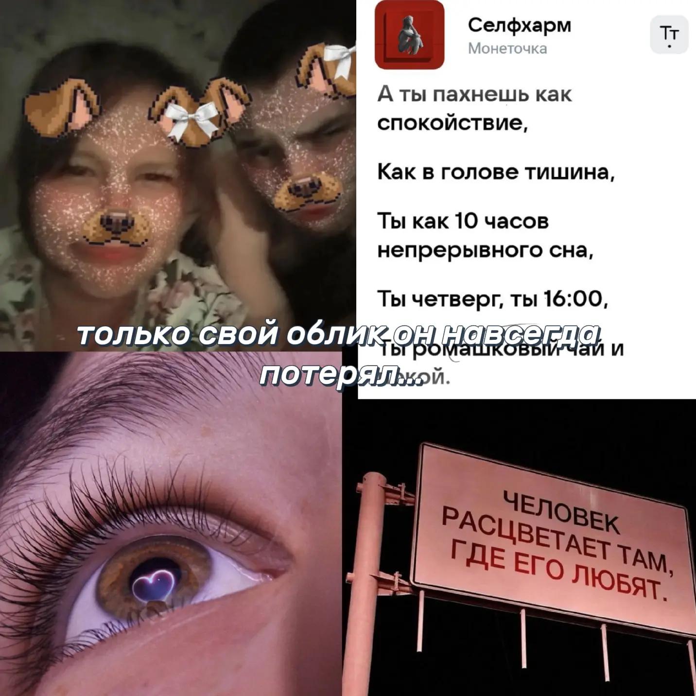@dishechka16