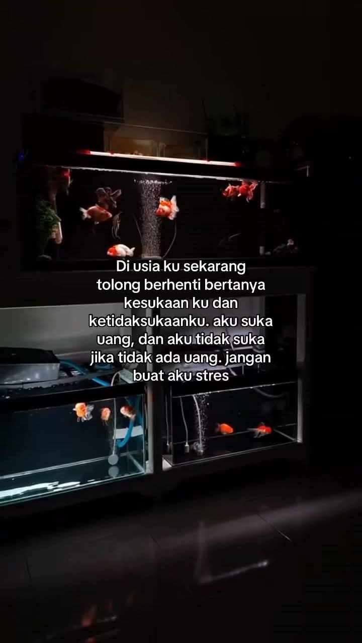 @KHE_STORIES