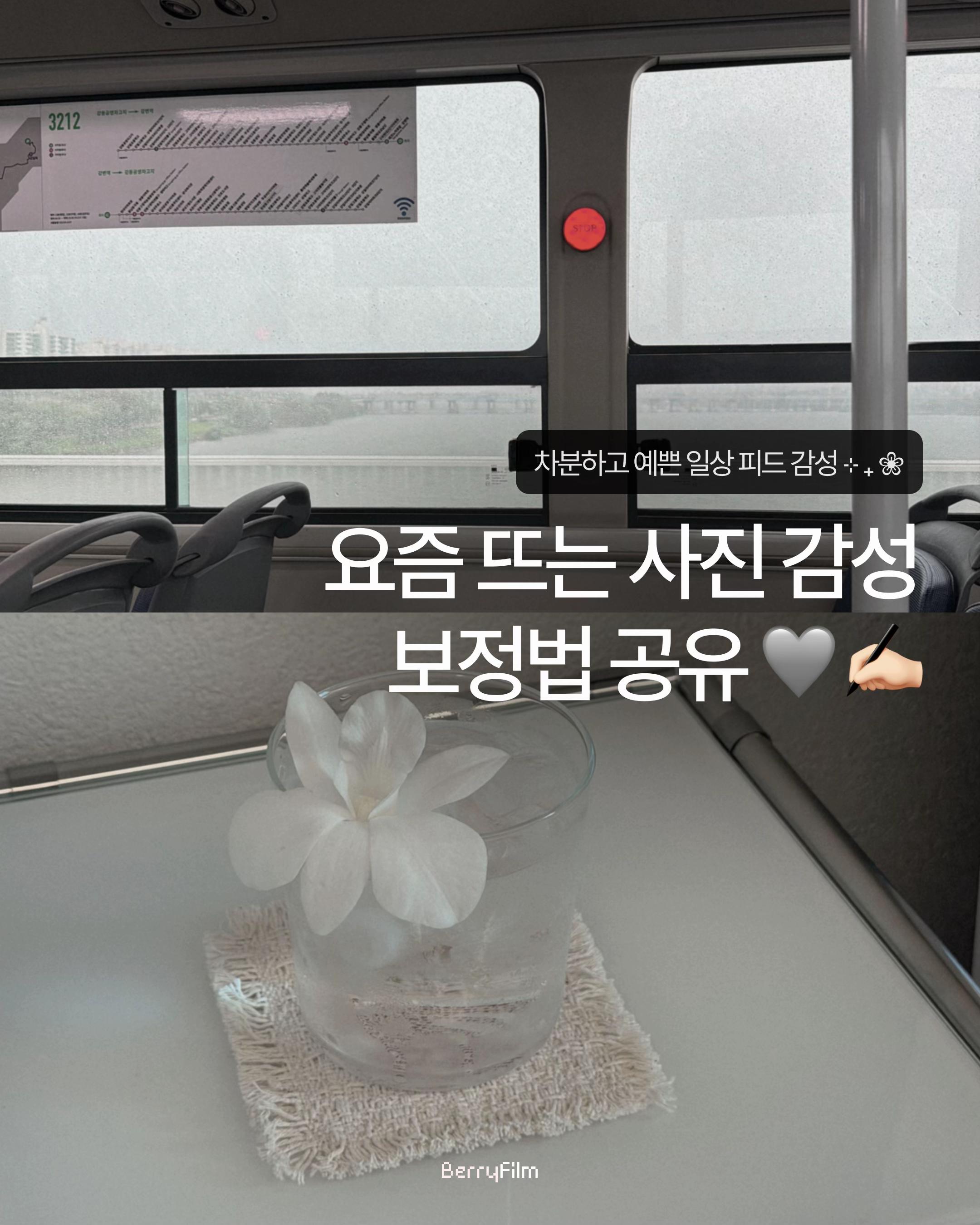 @베리 ベリ🪄