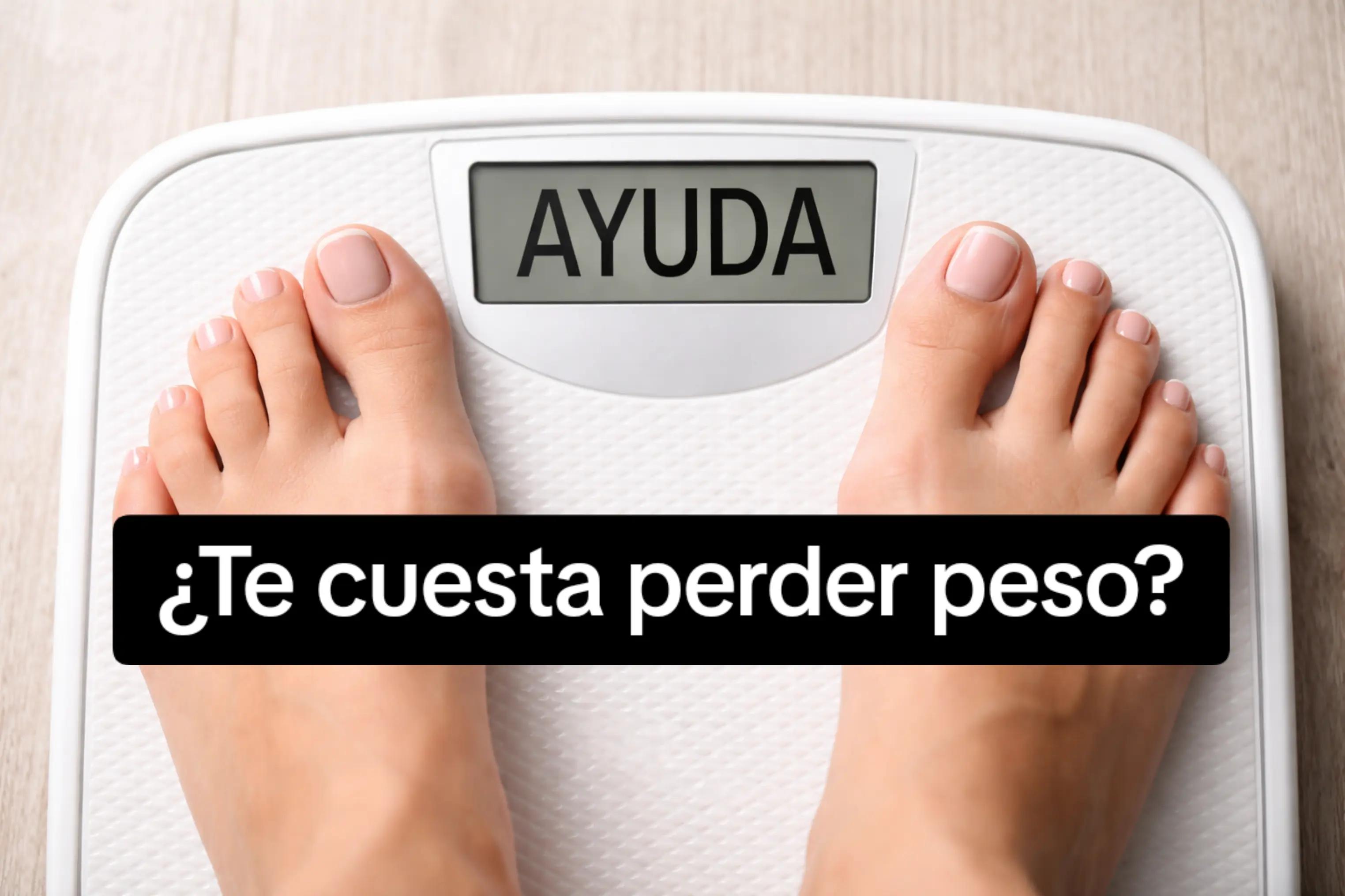@yami
