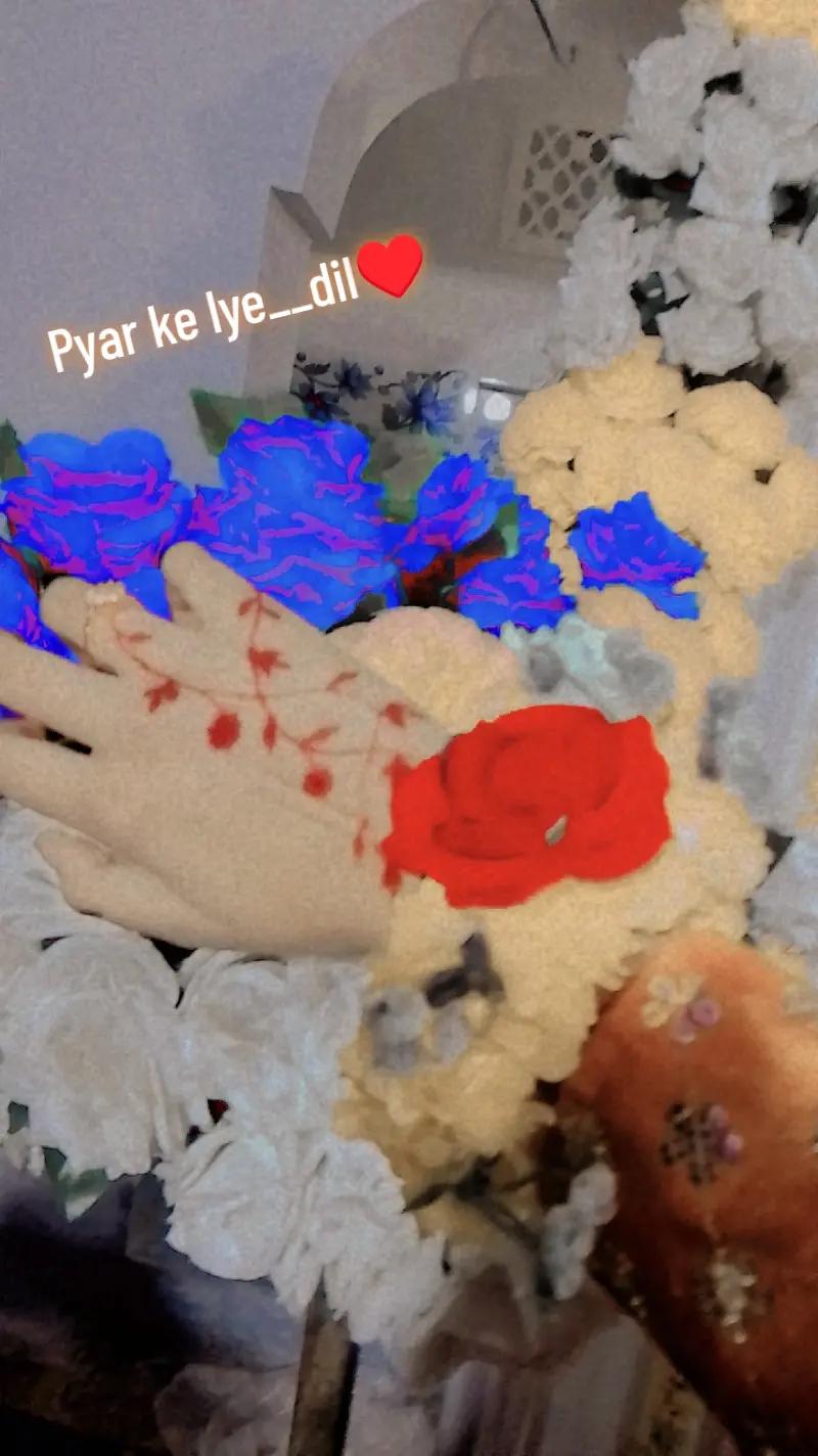 @𐙚 𝐋𝐢𝐬𝐡𝐮 𝐆