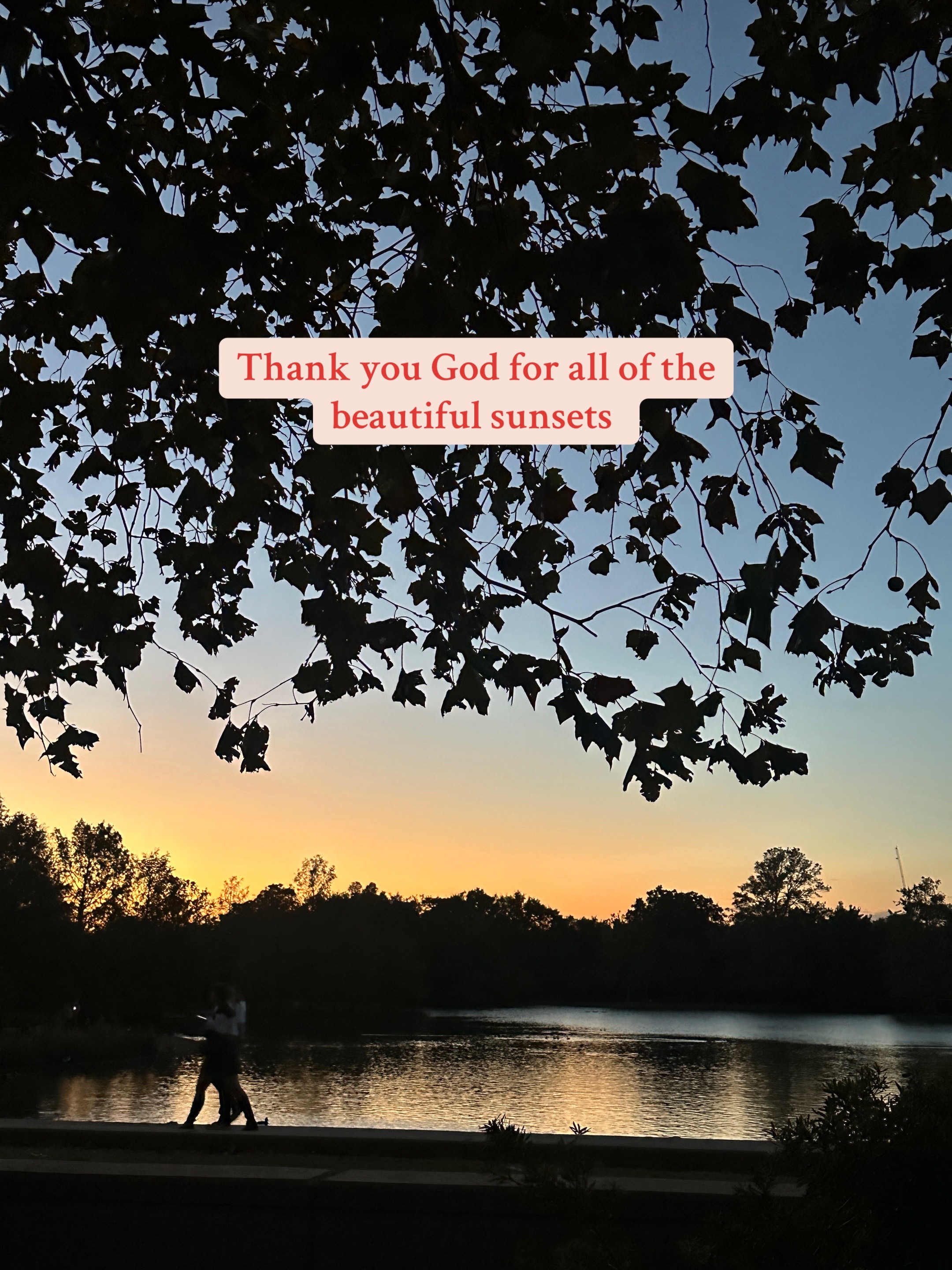 @𝓜𝓪𝓻𝓮𝓽𝔃𝓲