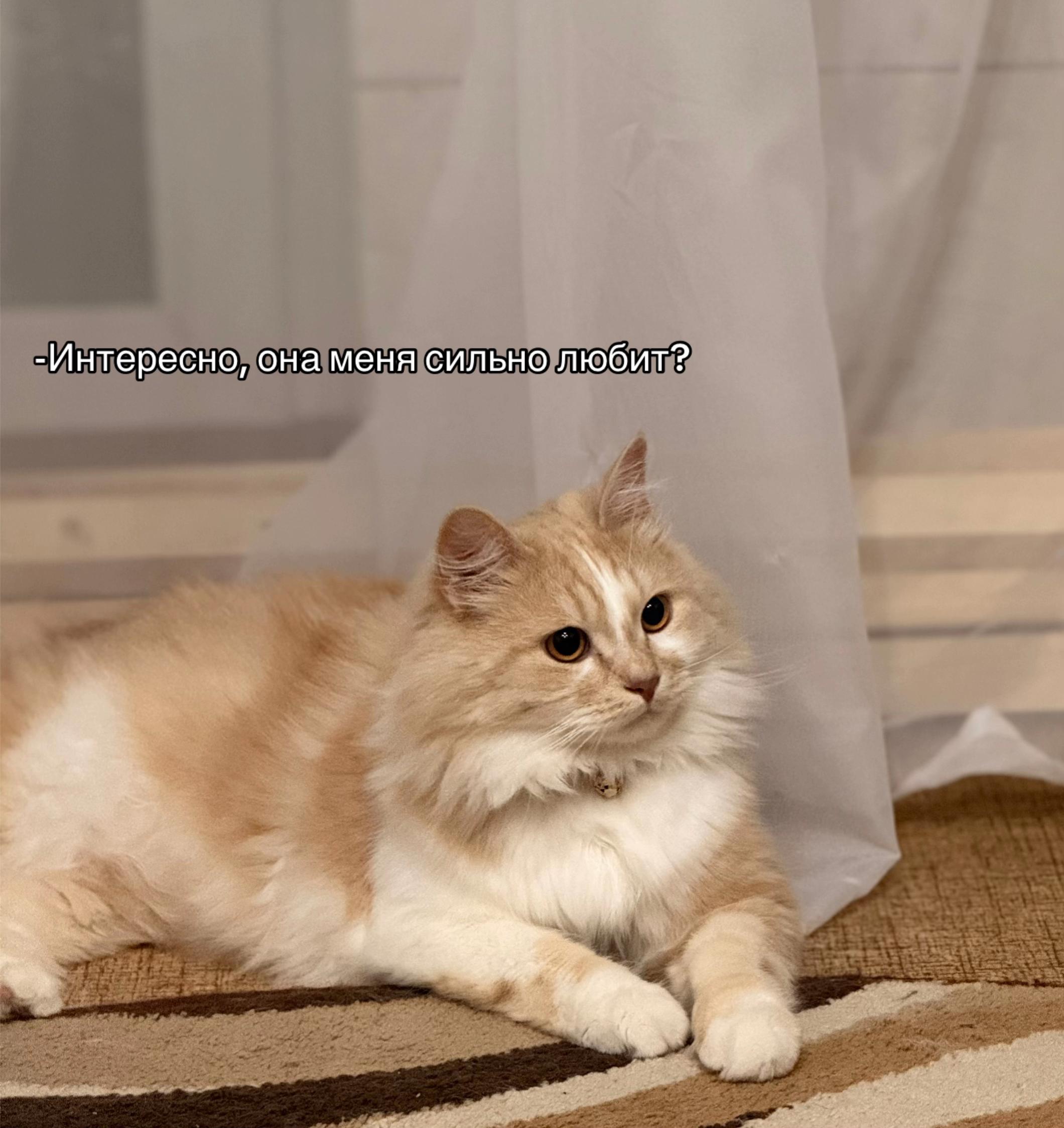 @Юлек 🩷