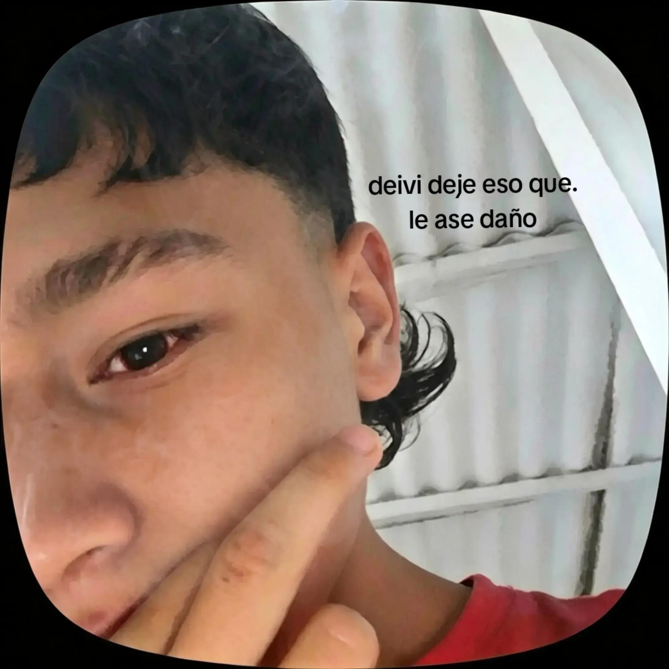 @🐻deivx_1🐻