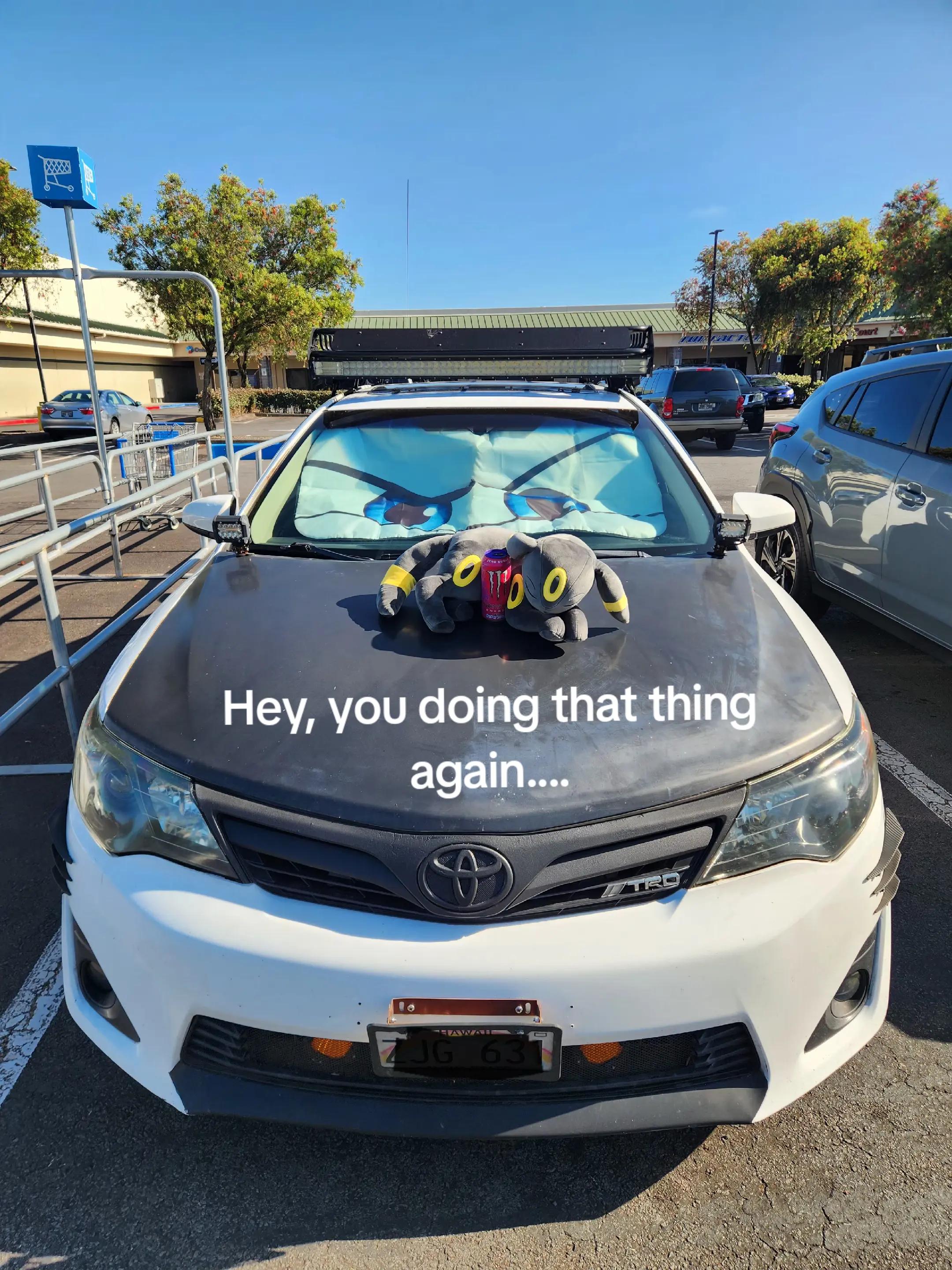 @𝓛𝓾𝓷𝓪𝓻𝓕𝓸𝔁