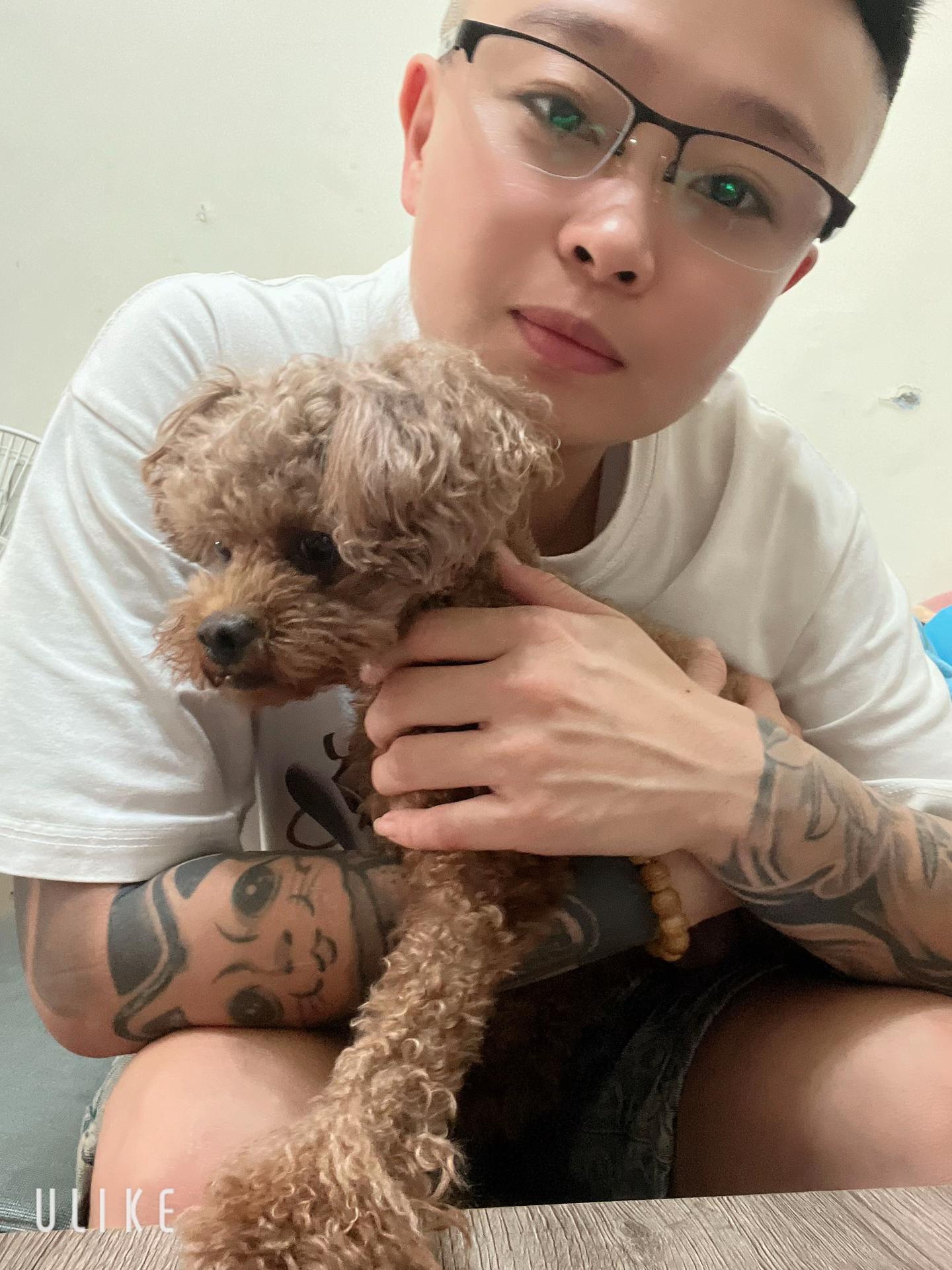 @🥜 LlN 🐩石睏寶