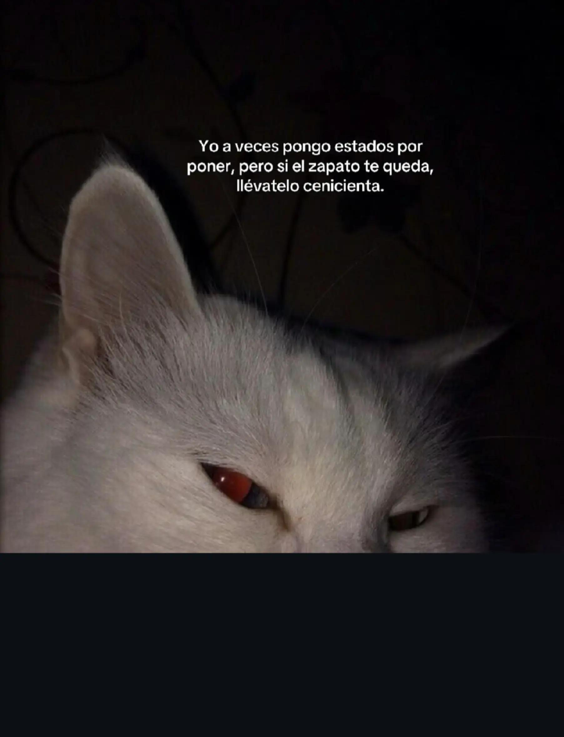 @KACE