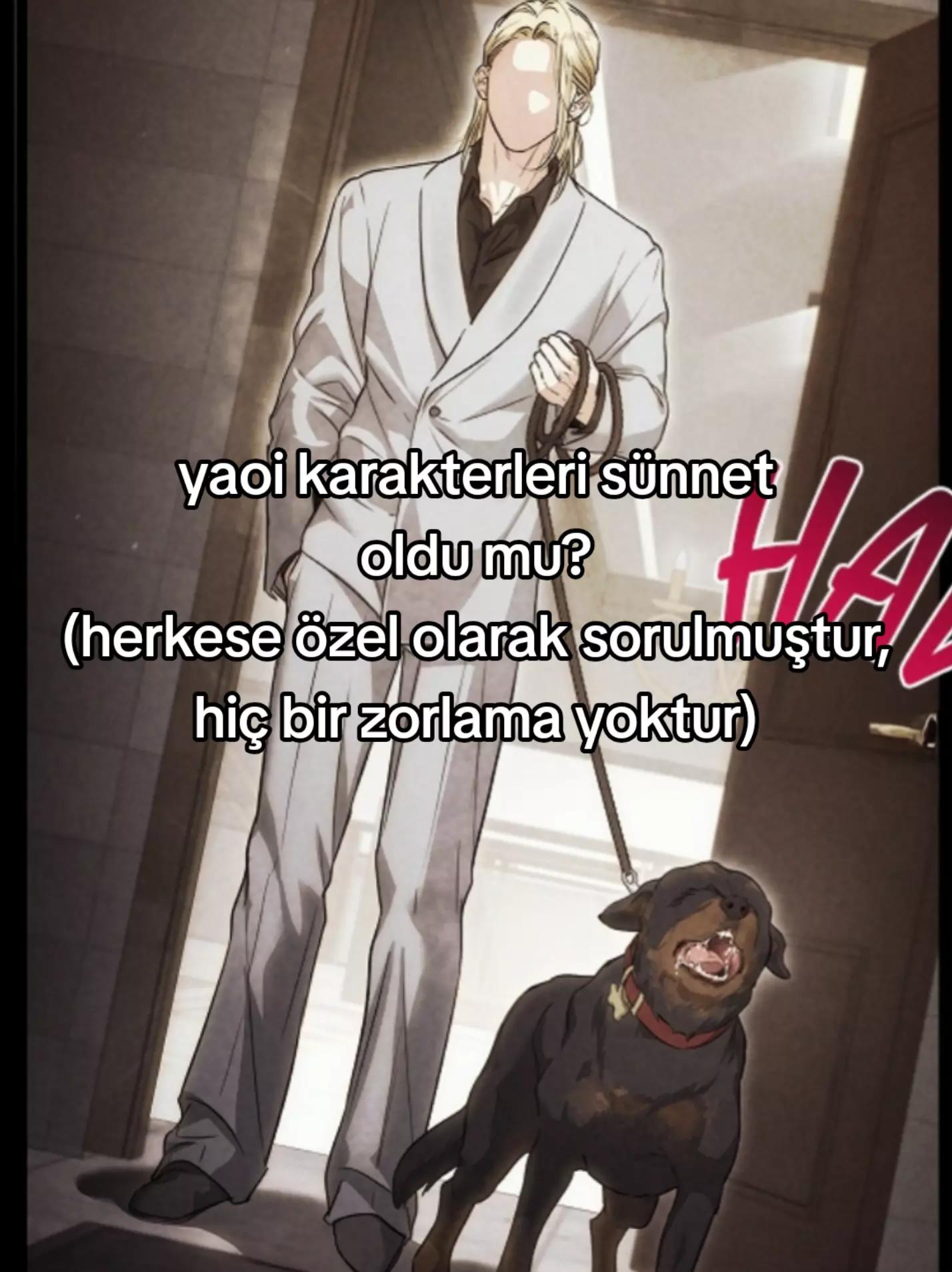 @şirazu⚡(Shin vers.)