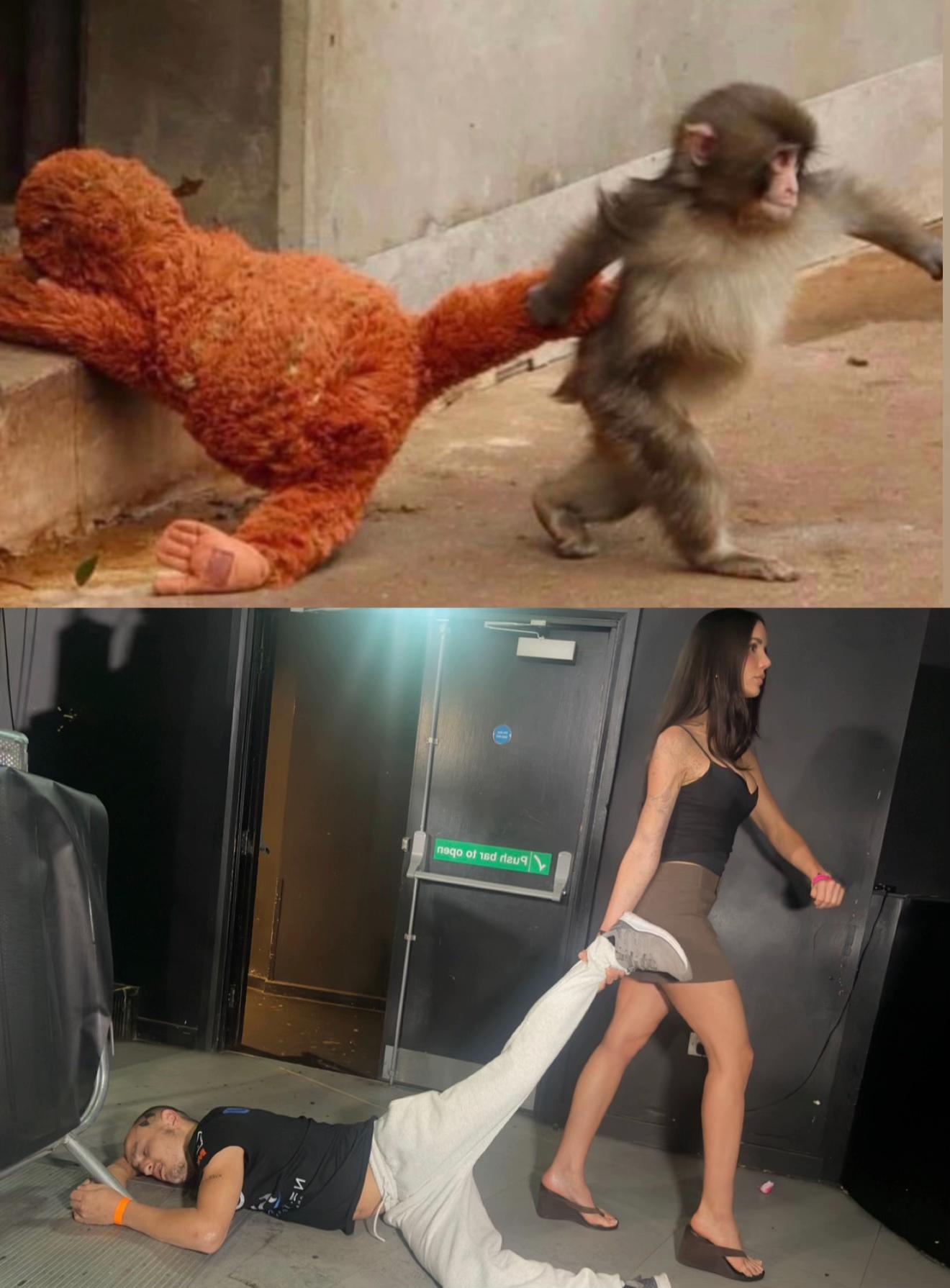 @Vanessa