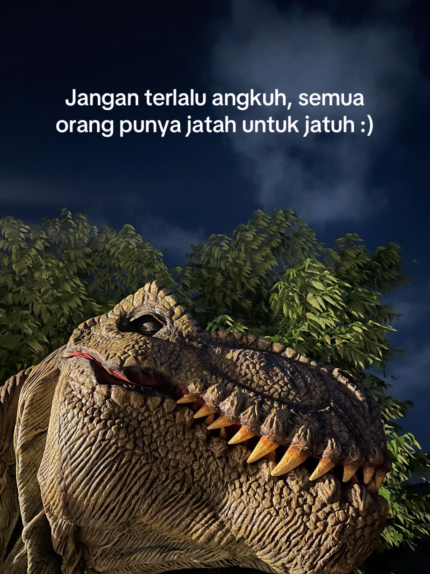 @˚⋆𐙚。indri putri𖦹.ᡣ𐭩˚˚