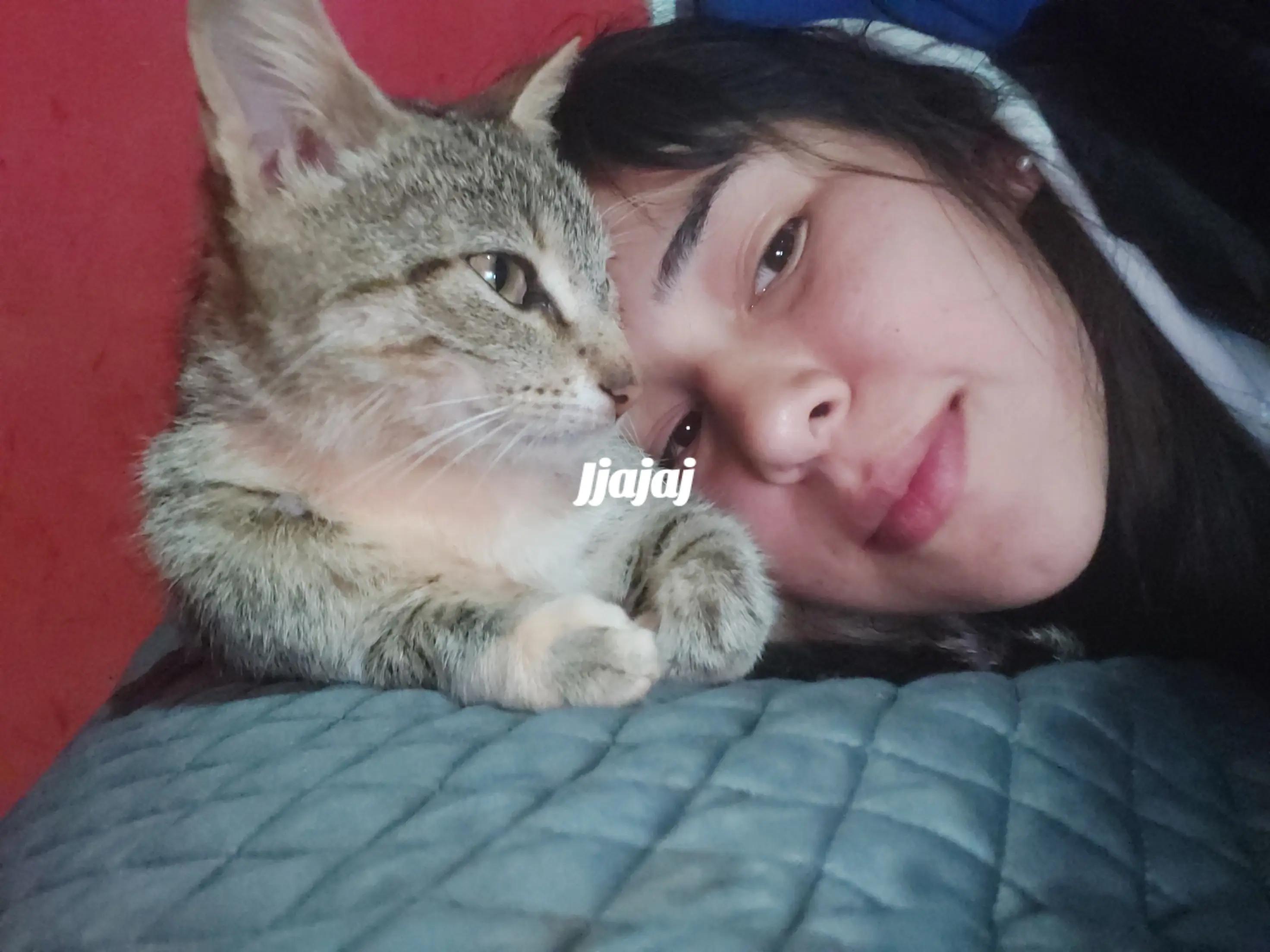 @Caroli