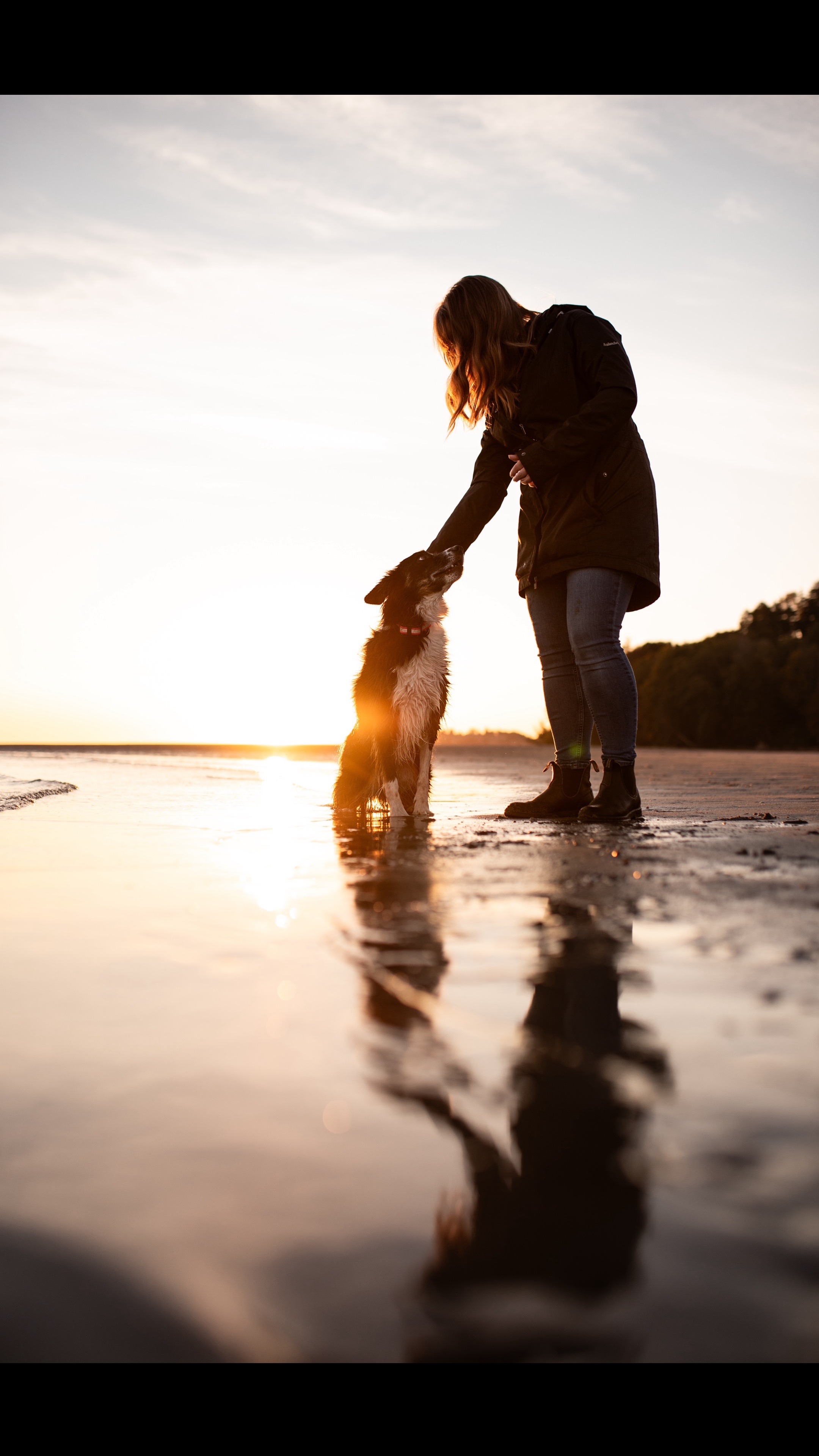 @Coastal Collies
