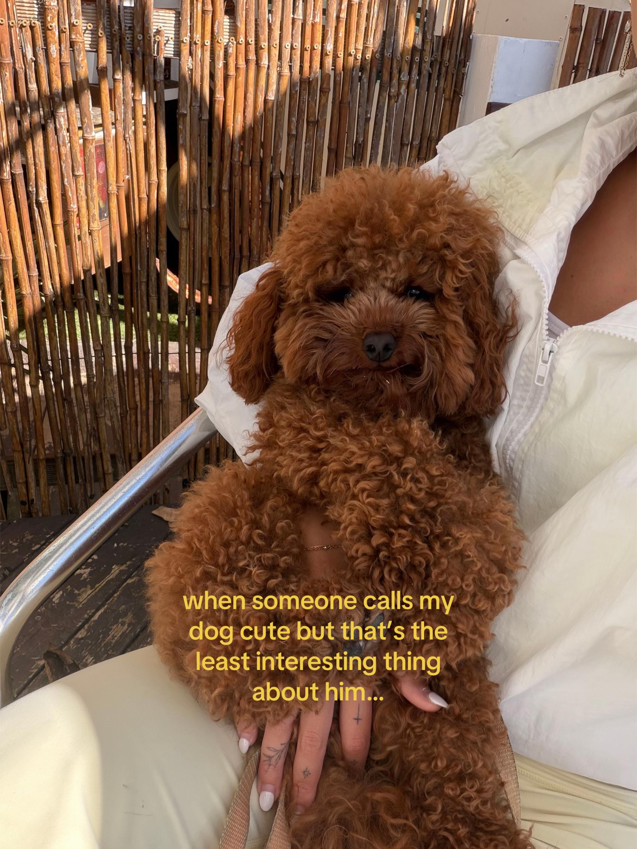 @chanel smith
