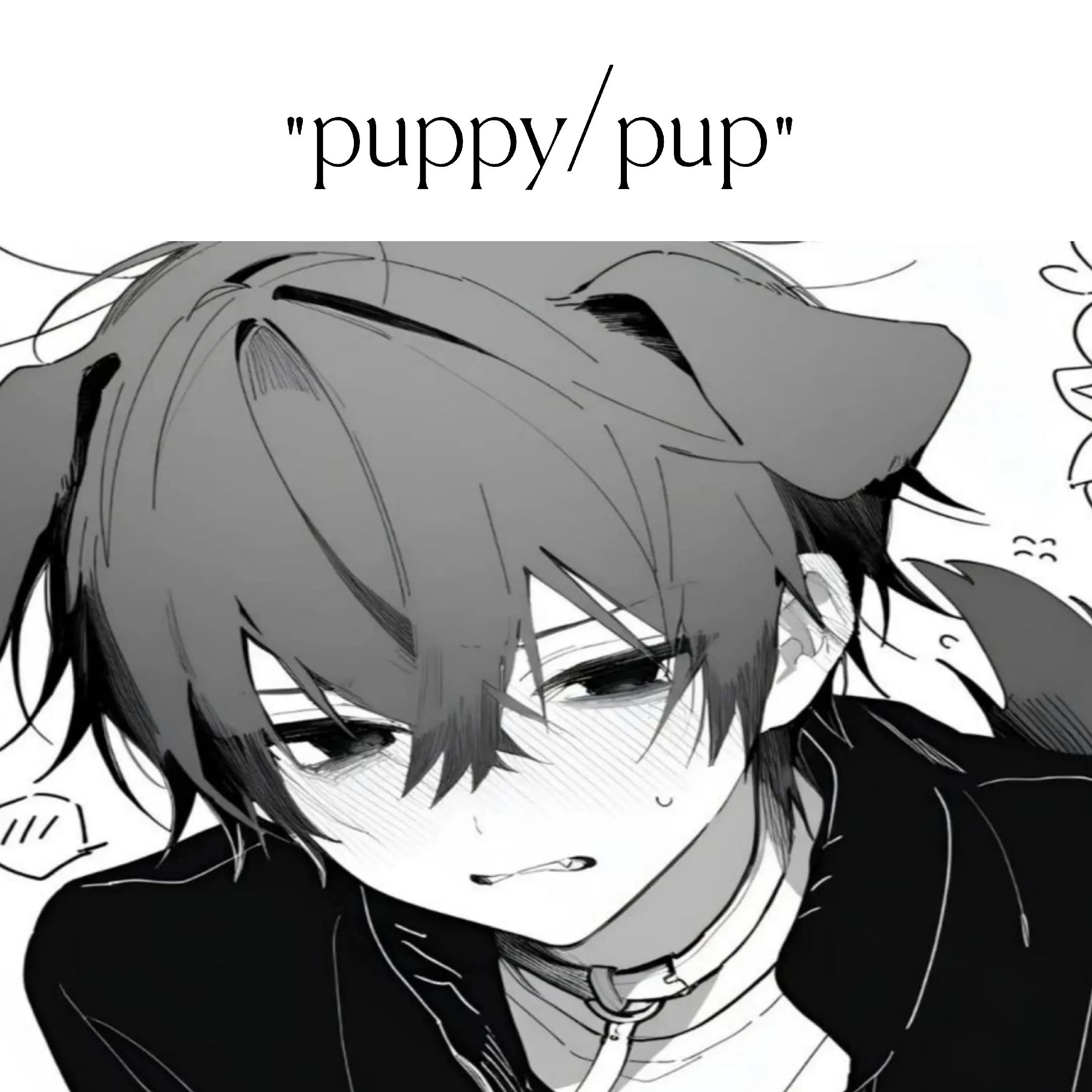 @˙ˏ k&alpha;&iacute;ɾօ˒˒ˊ