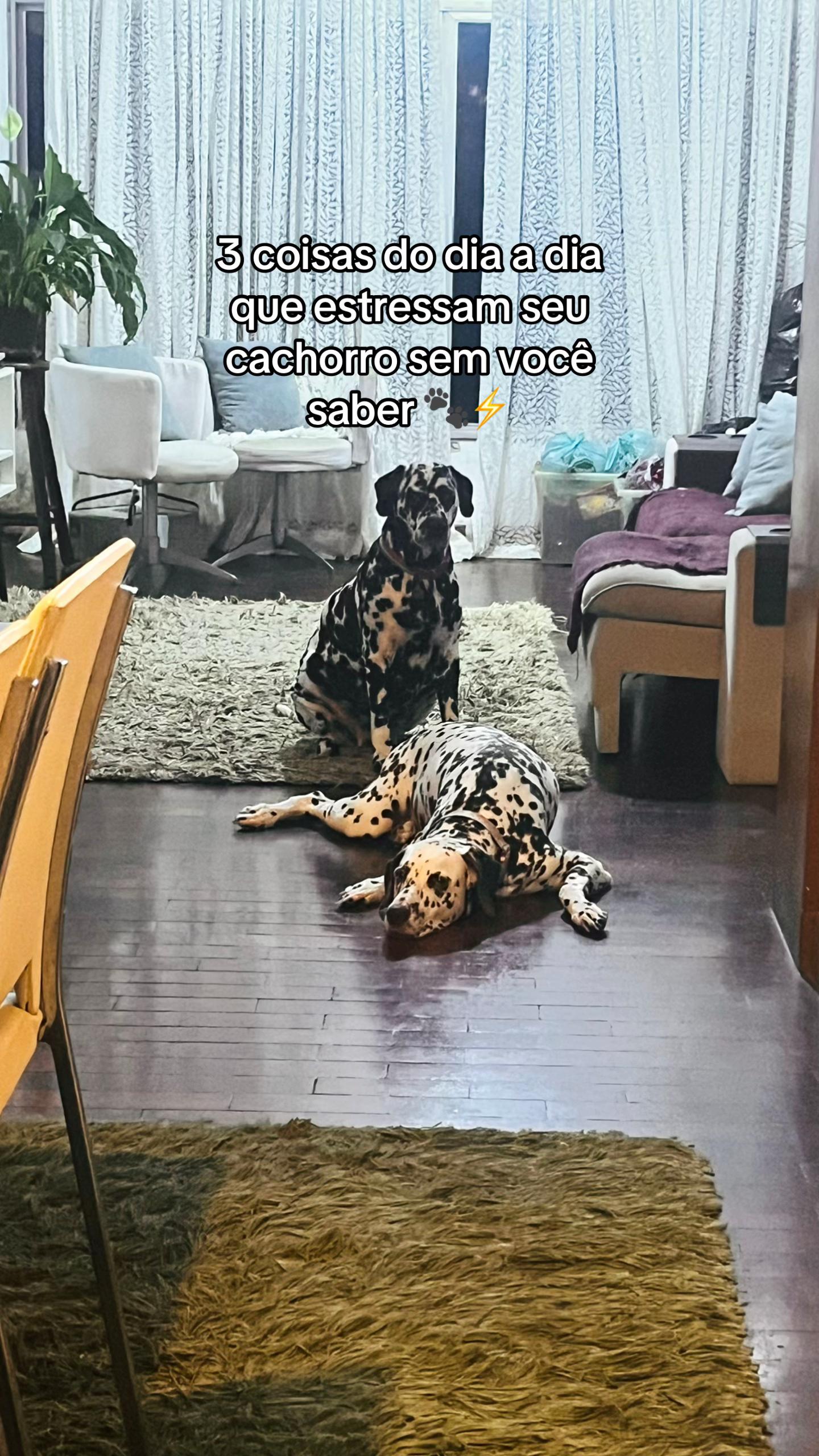 @Margô e Jude