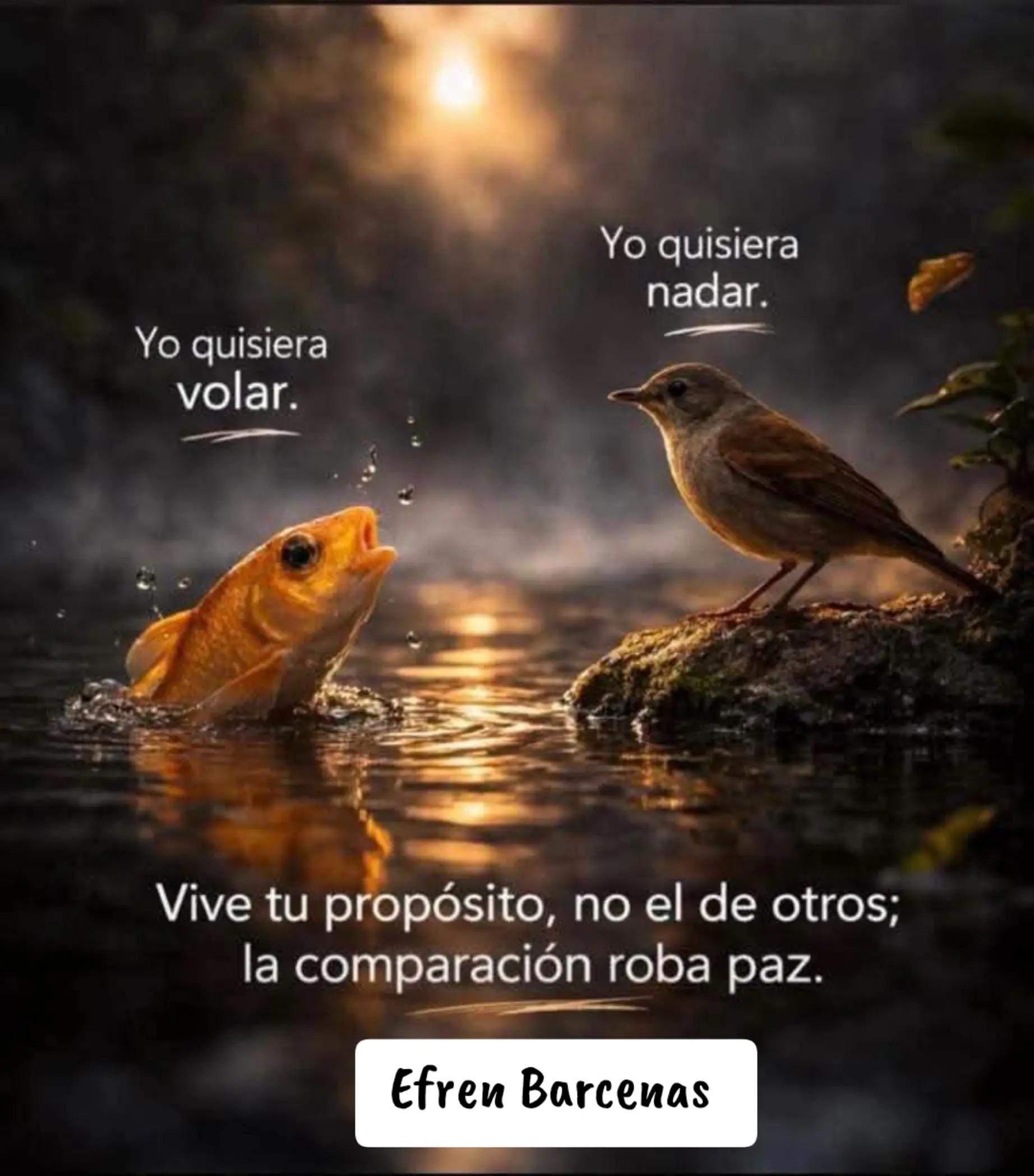 @efren Barcenas