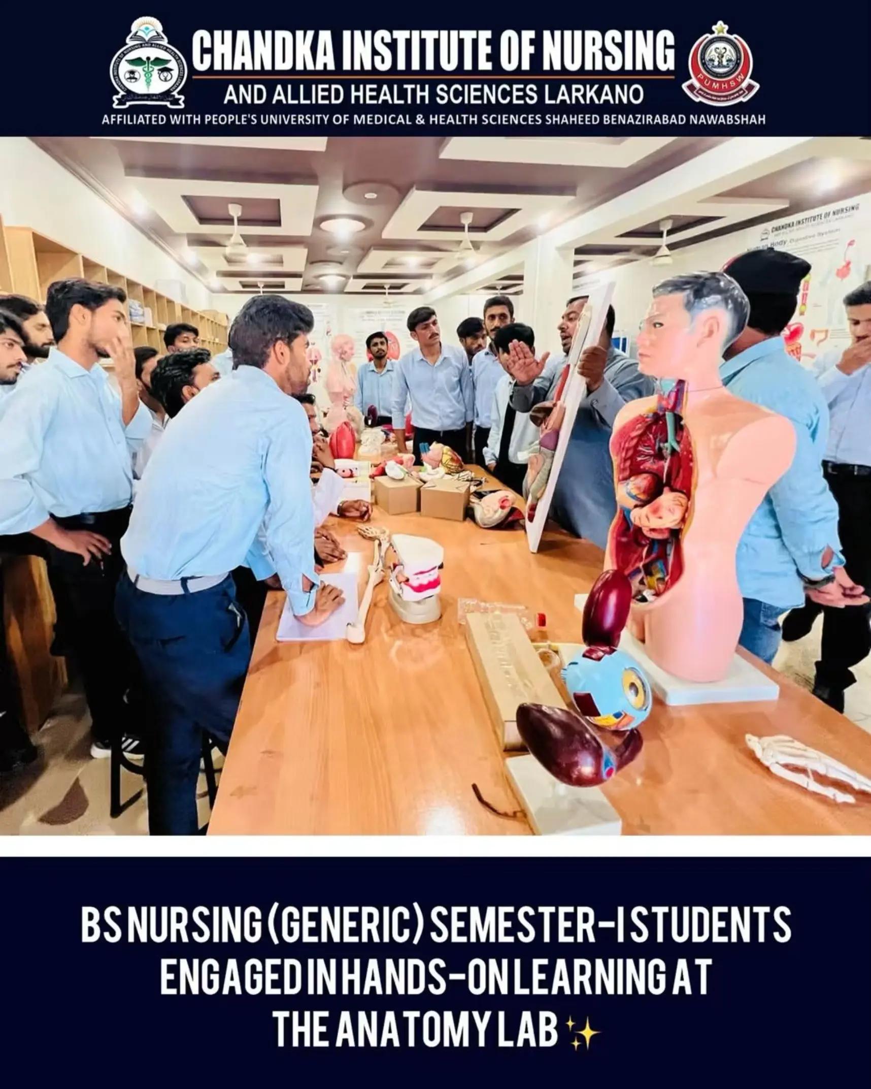 @Chandka Institute Nursing Lark