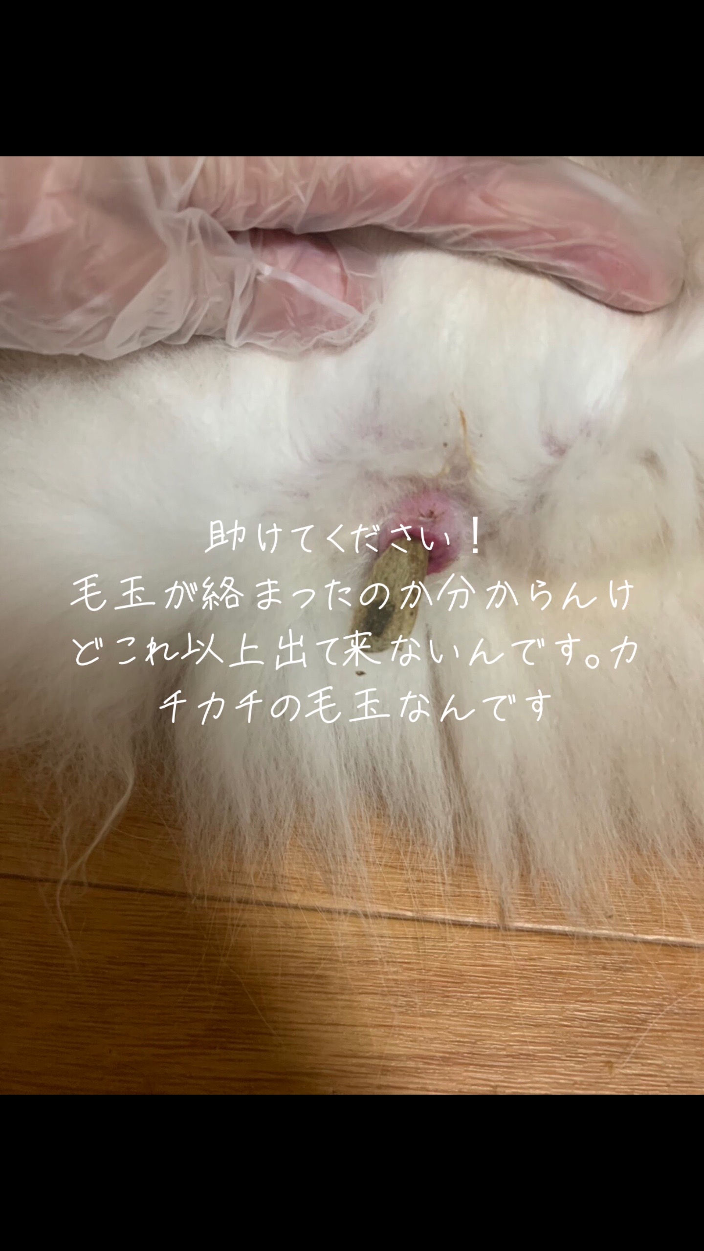 @静音 SION 防音室