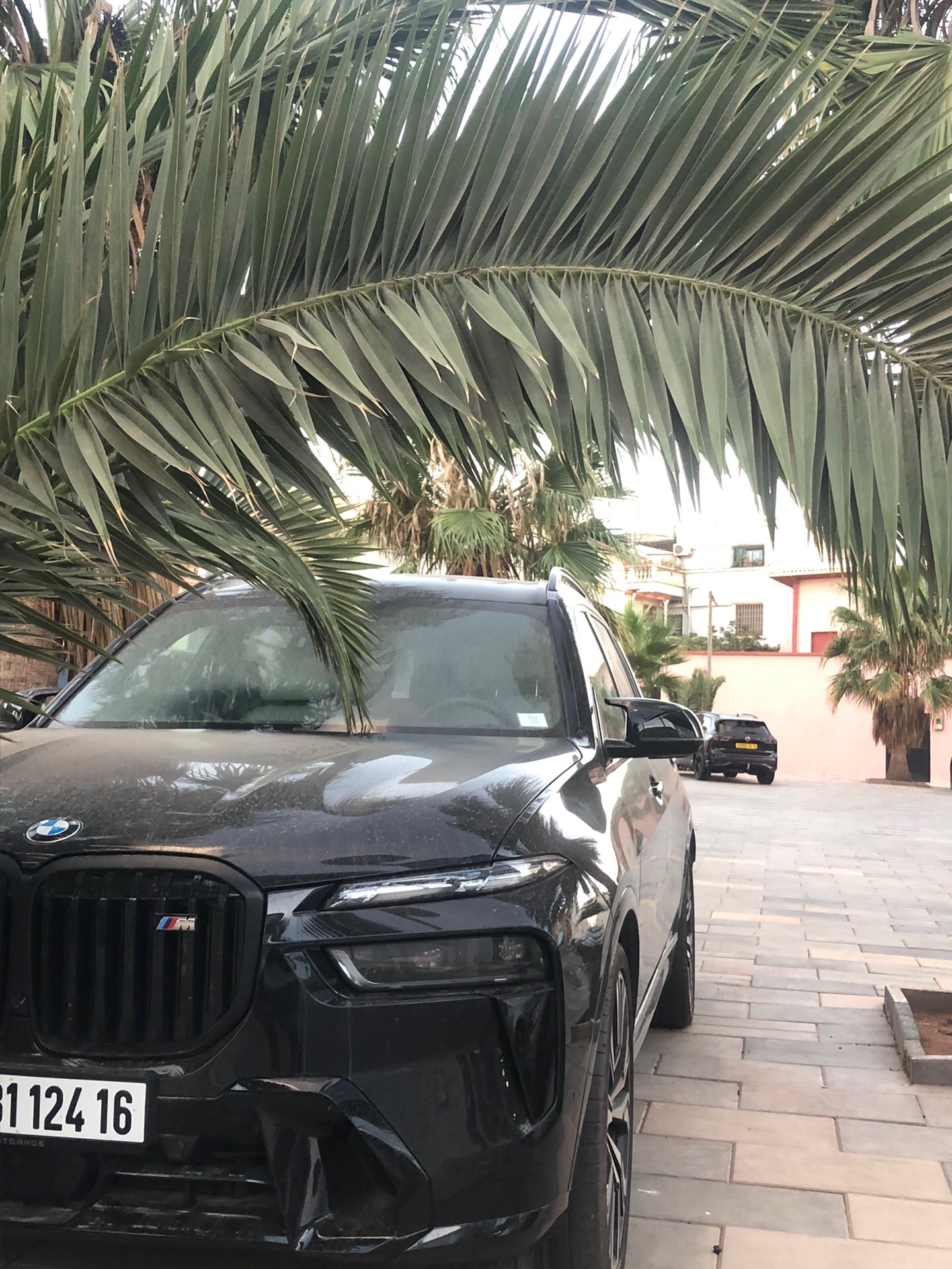 @Spotted cars 🚘 in Oran