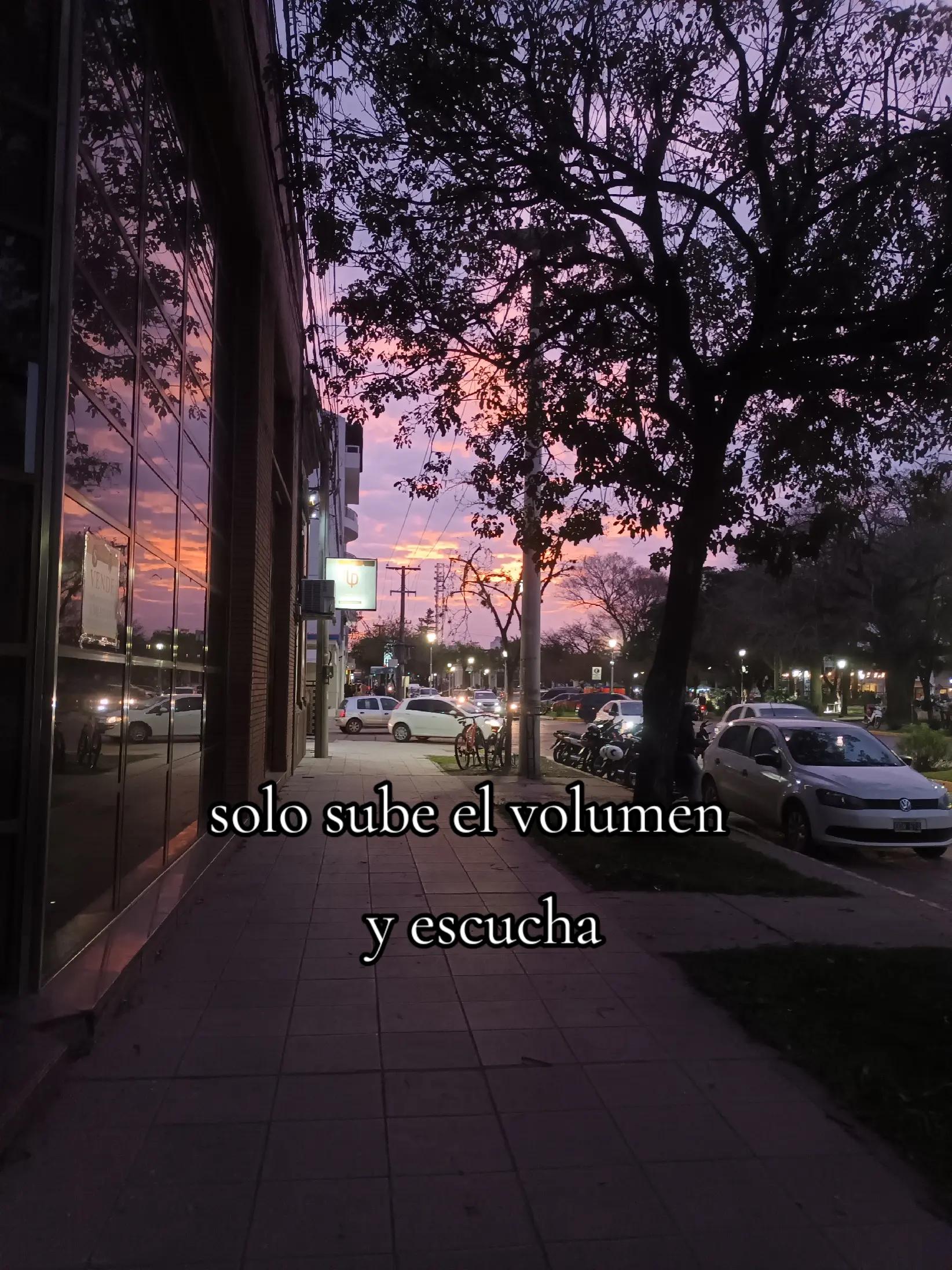 @Camiluz