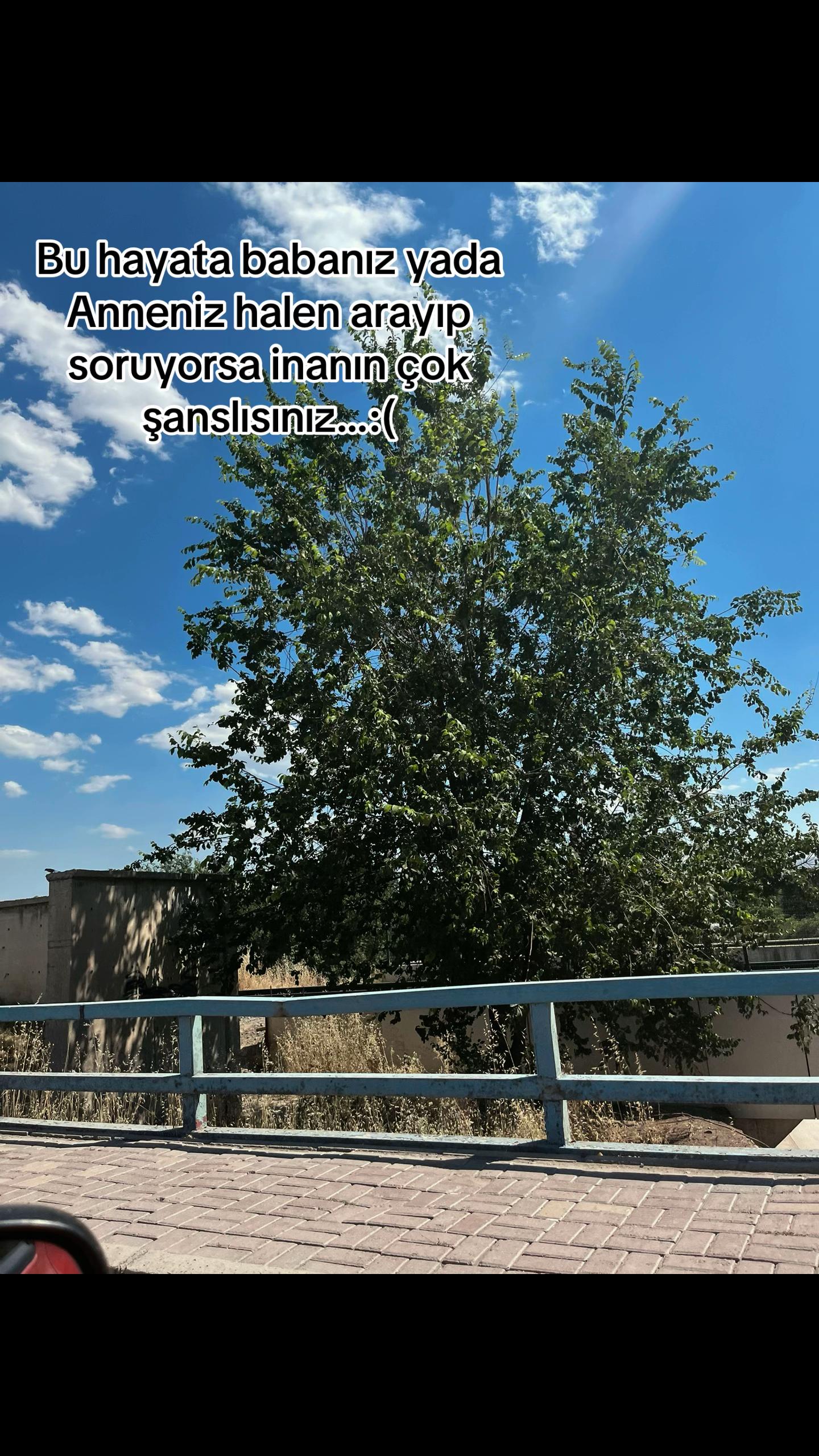 @Seda