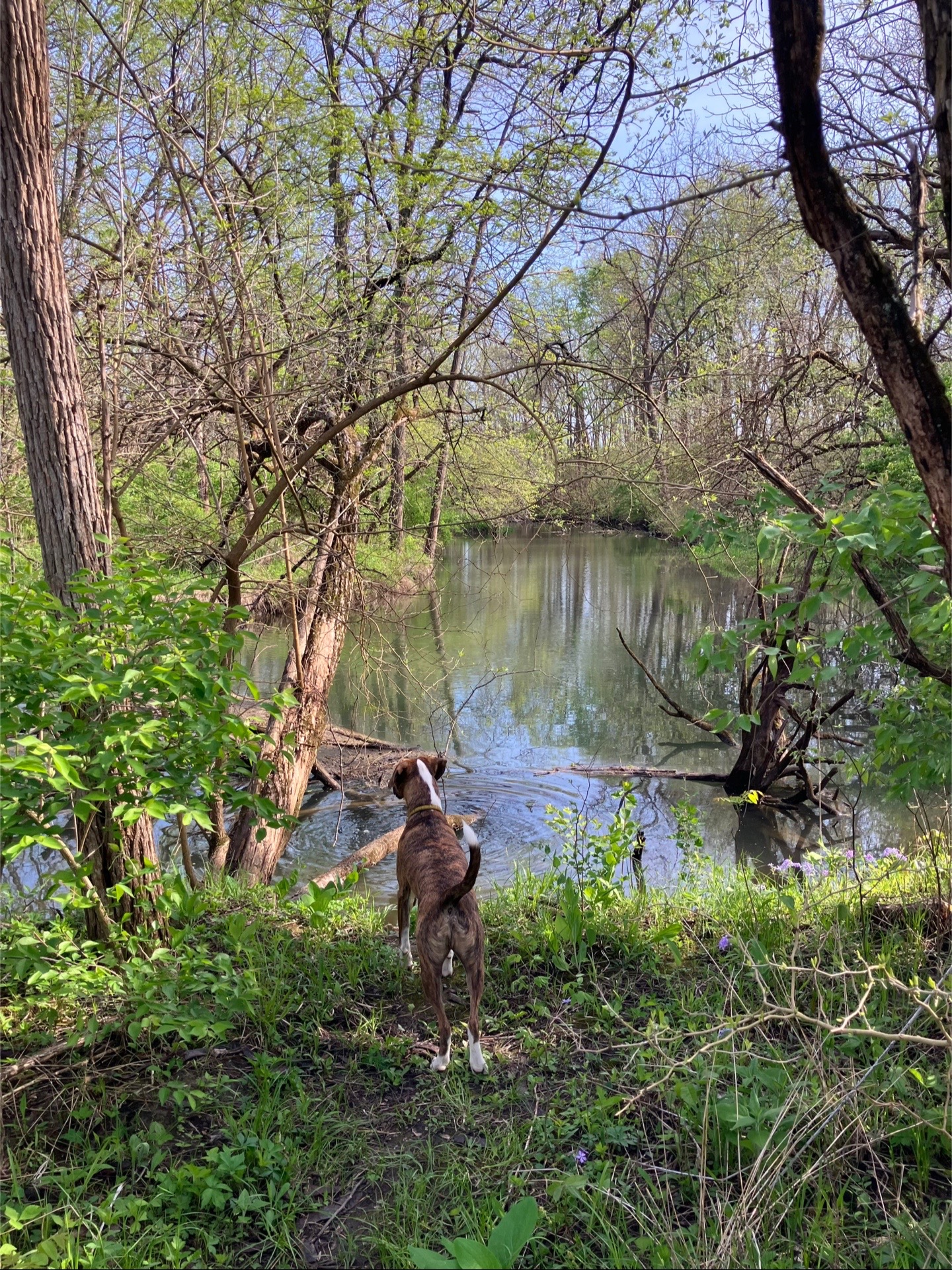 @Hikingwithstanley